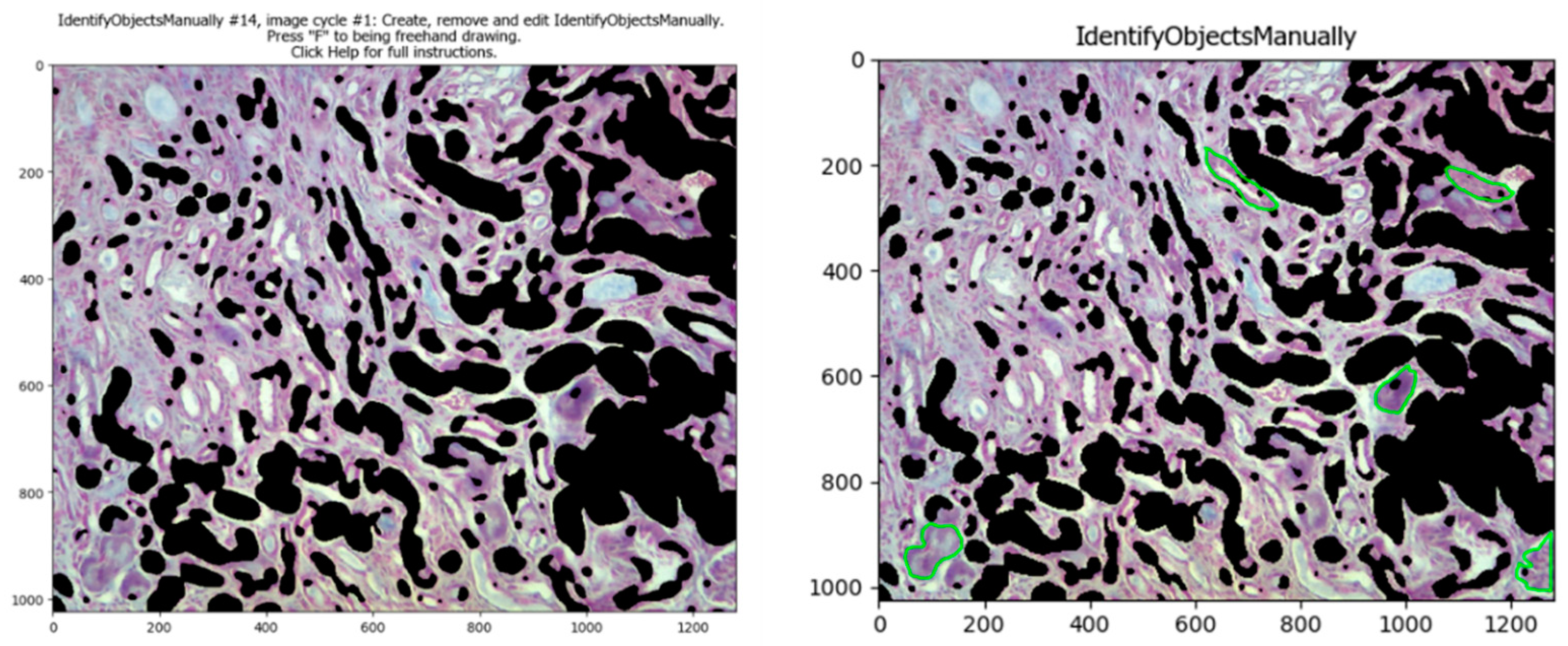 Biology 11 01227 g005 550