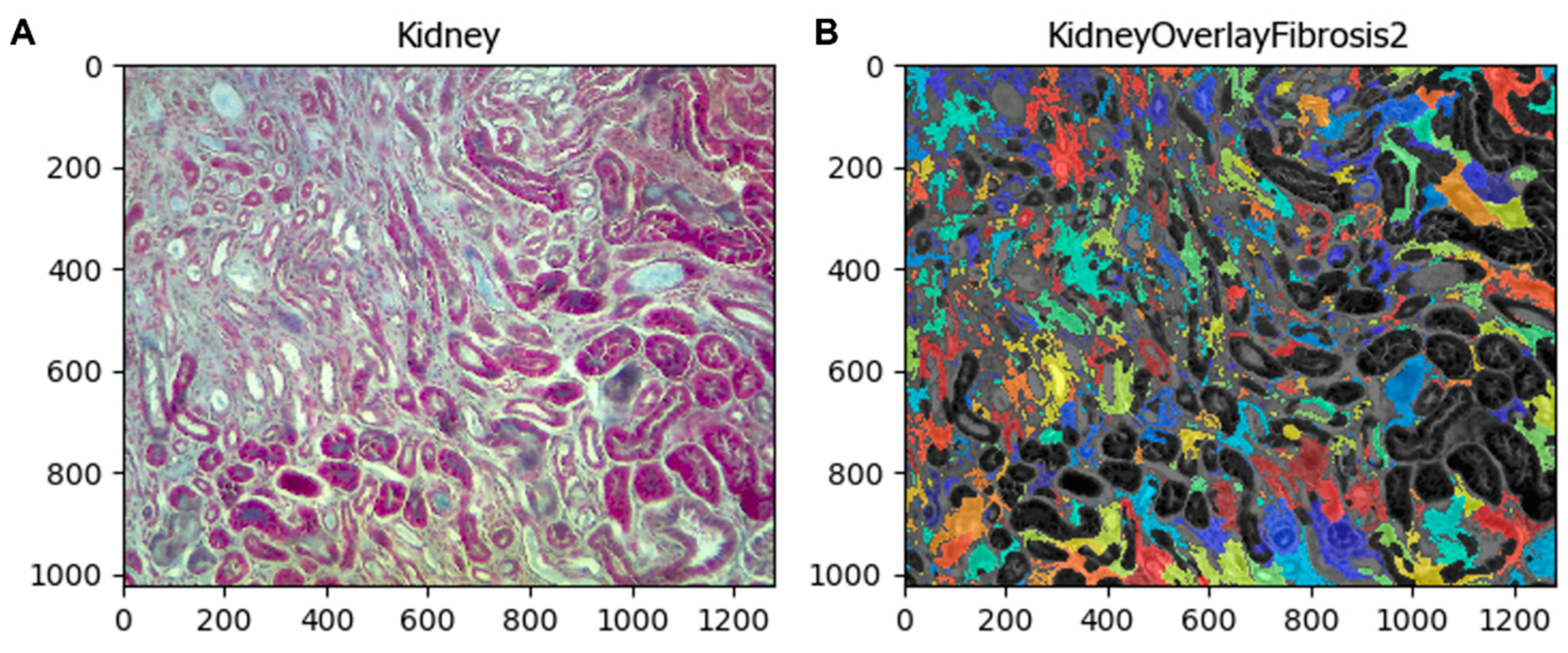 Biology 11 01227 g008 550