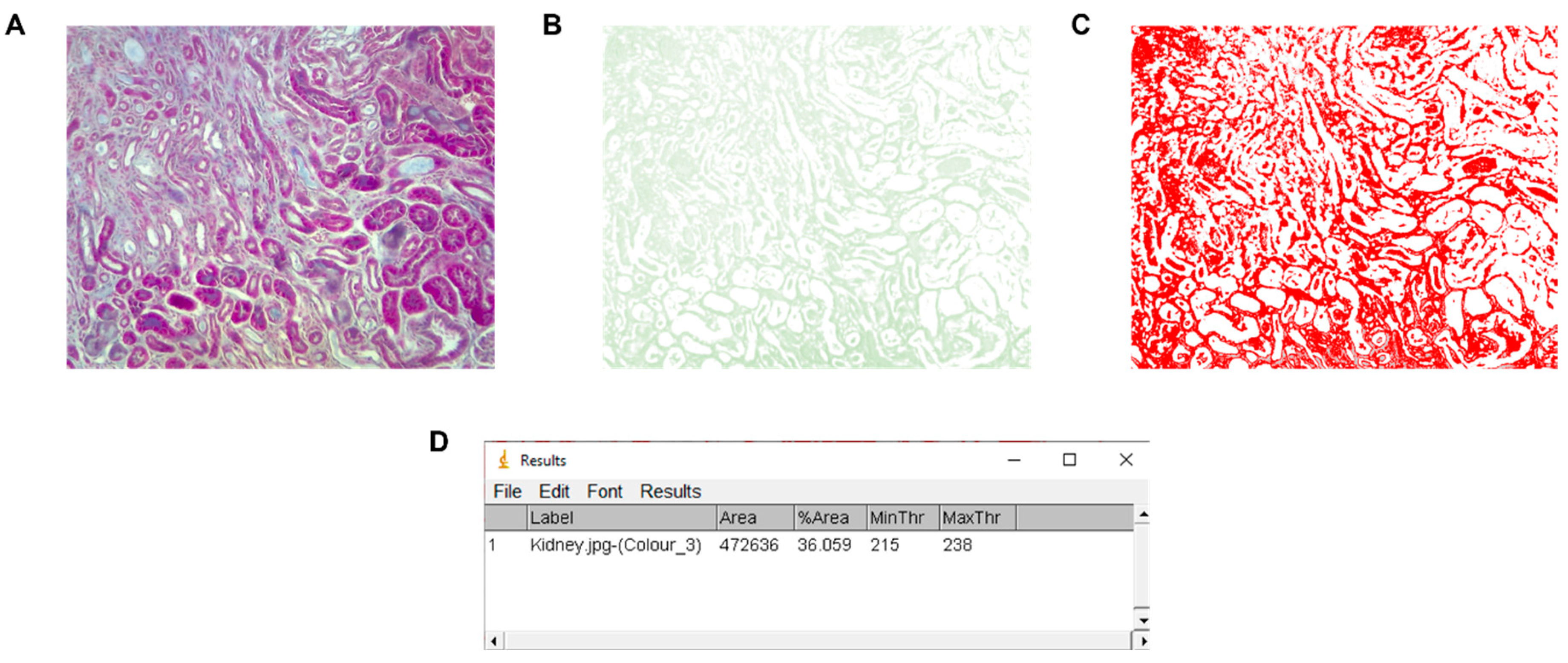 Biology 11 01227 g009 550