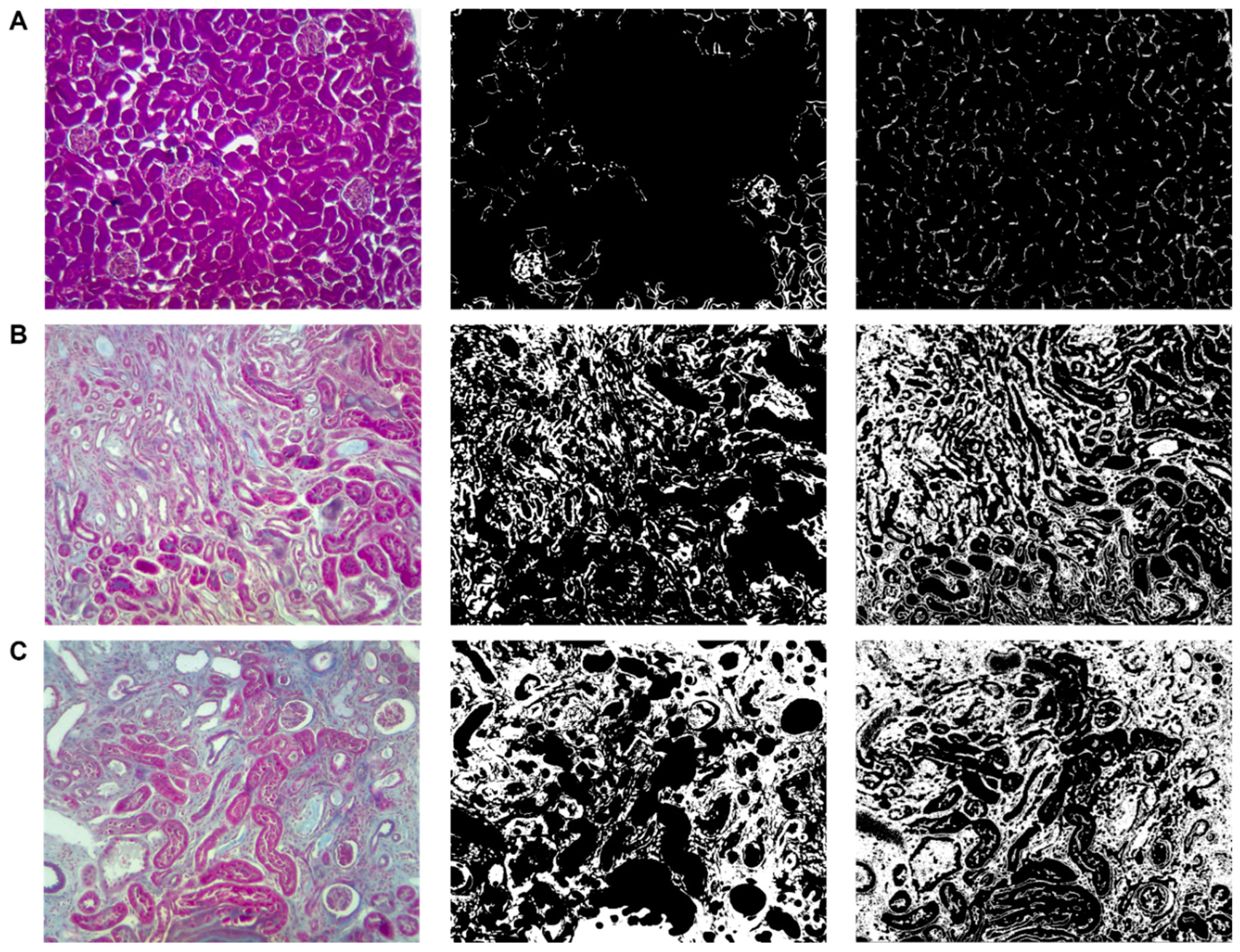 Biology 11 01227 g010 550