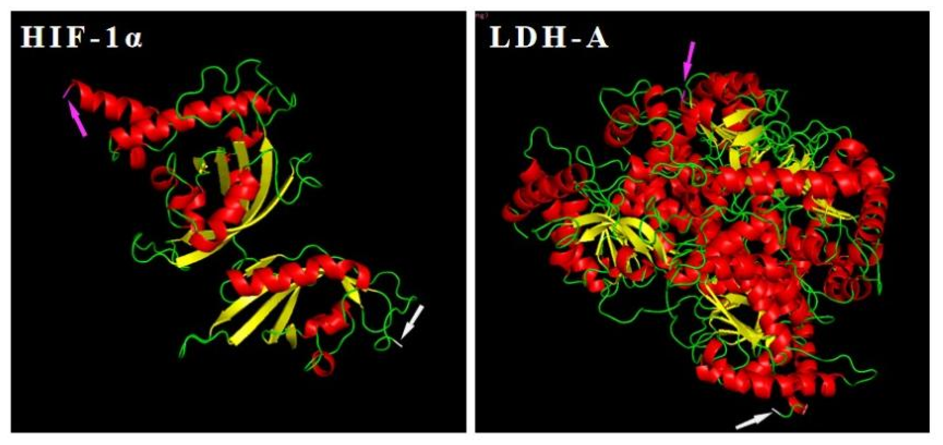 Biology 11 01233 g005