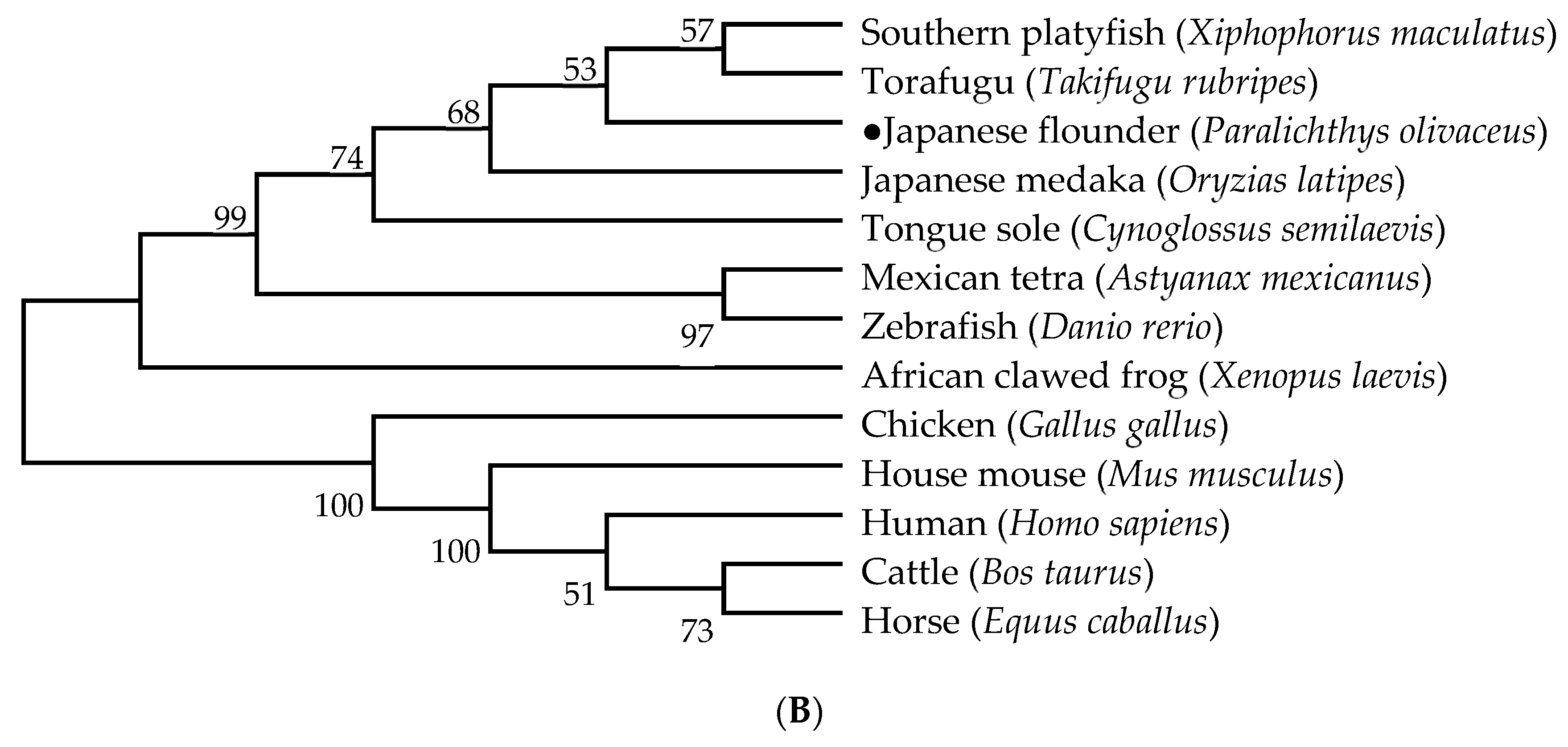 Biology 11 01233 g006b