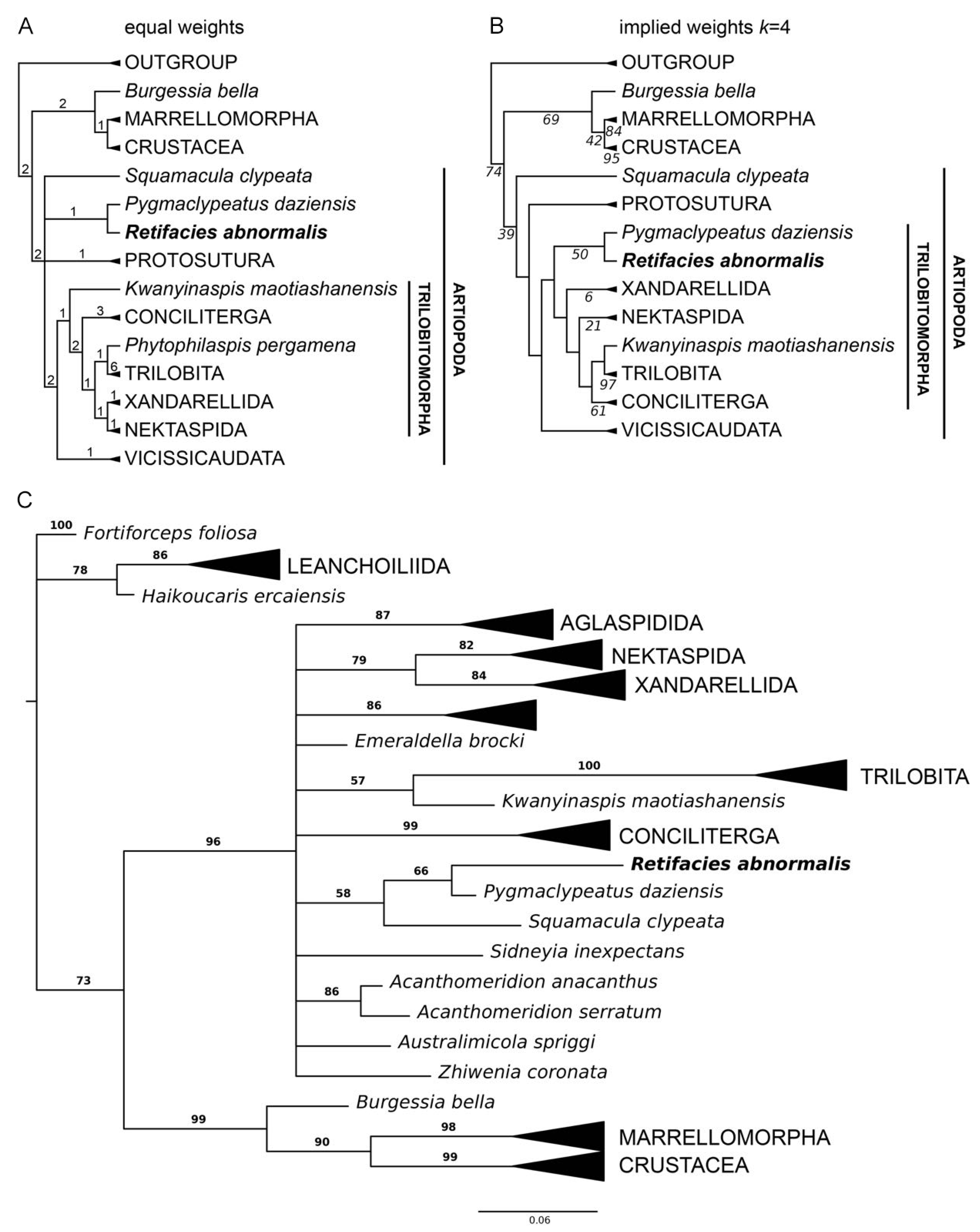 Biology 11 01235 g007 550