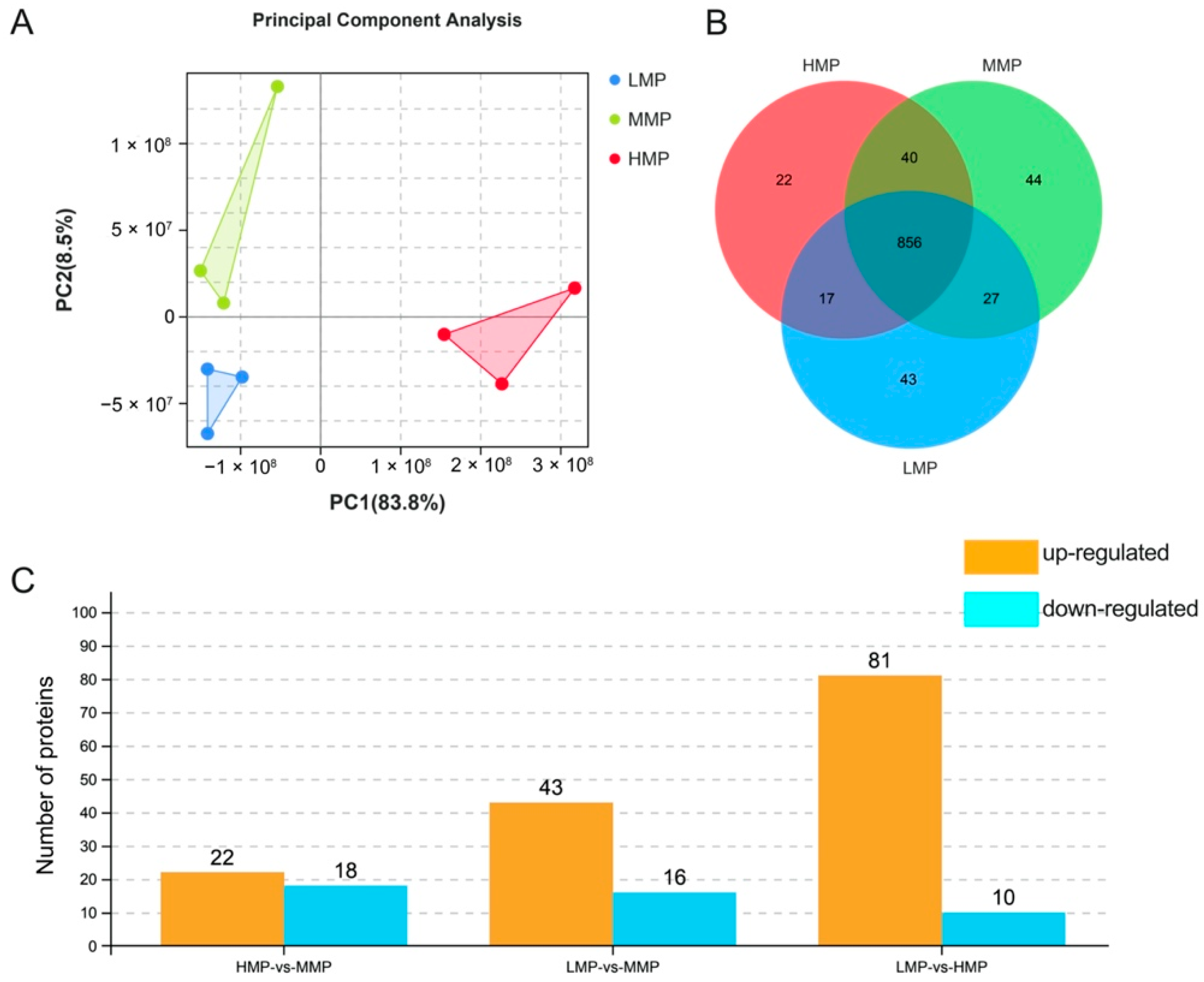 Biology 11 01239 g002 Biology 11 01239 g002