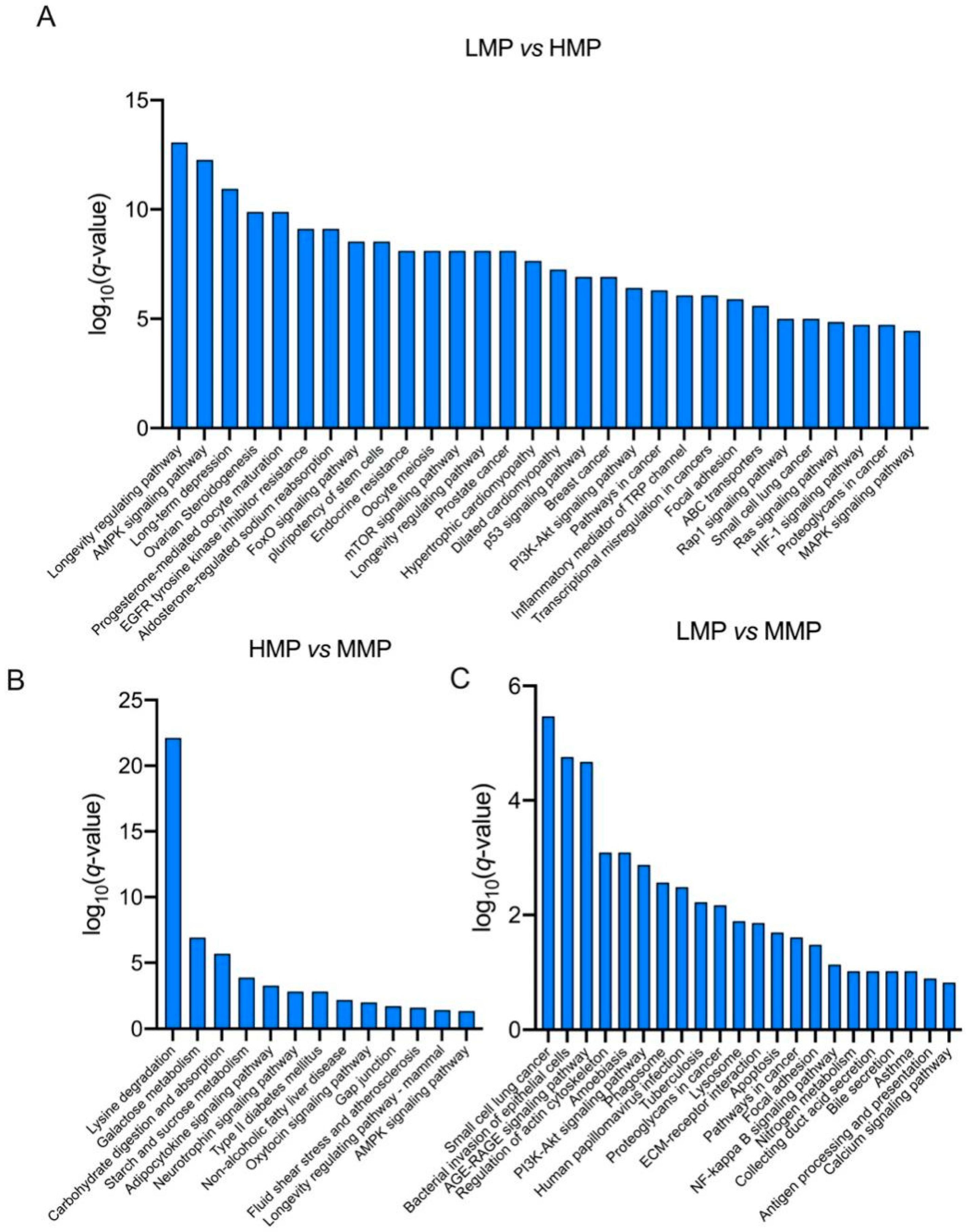 Biology 11 01239 g003 Biology 11 01239 g003