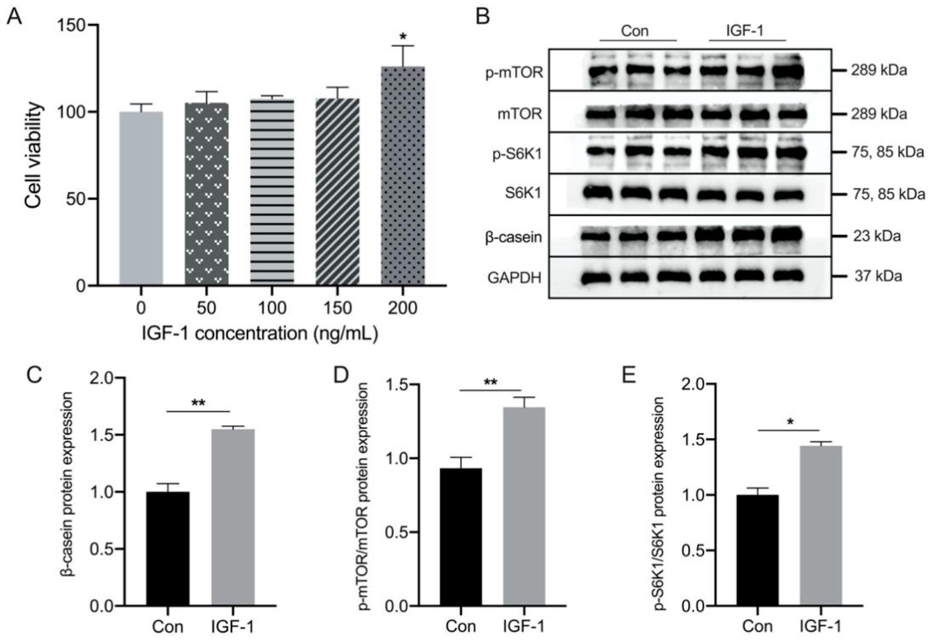 Biology 11 01239 g005 Biology 11 01239 g005