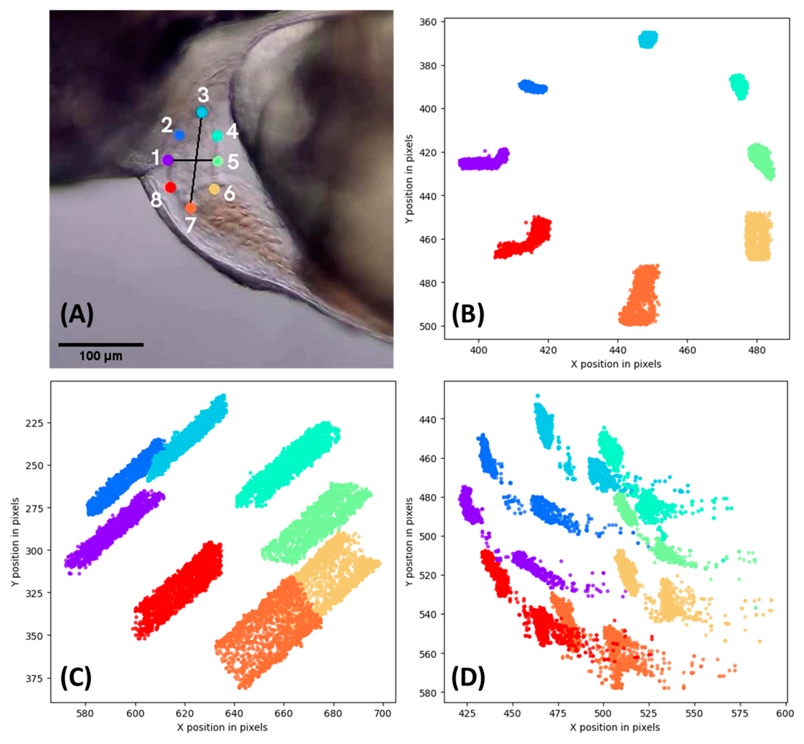 Biology 11 01243 g003