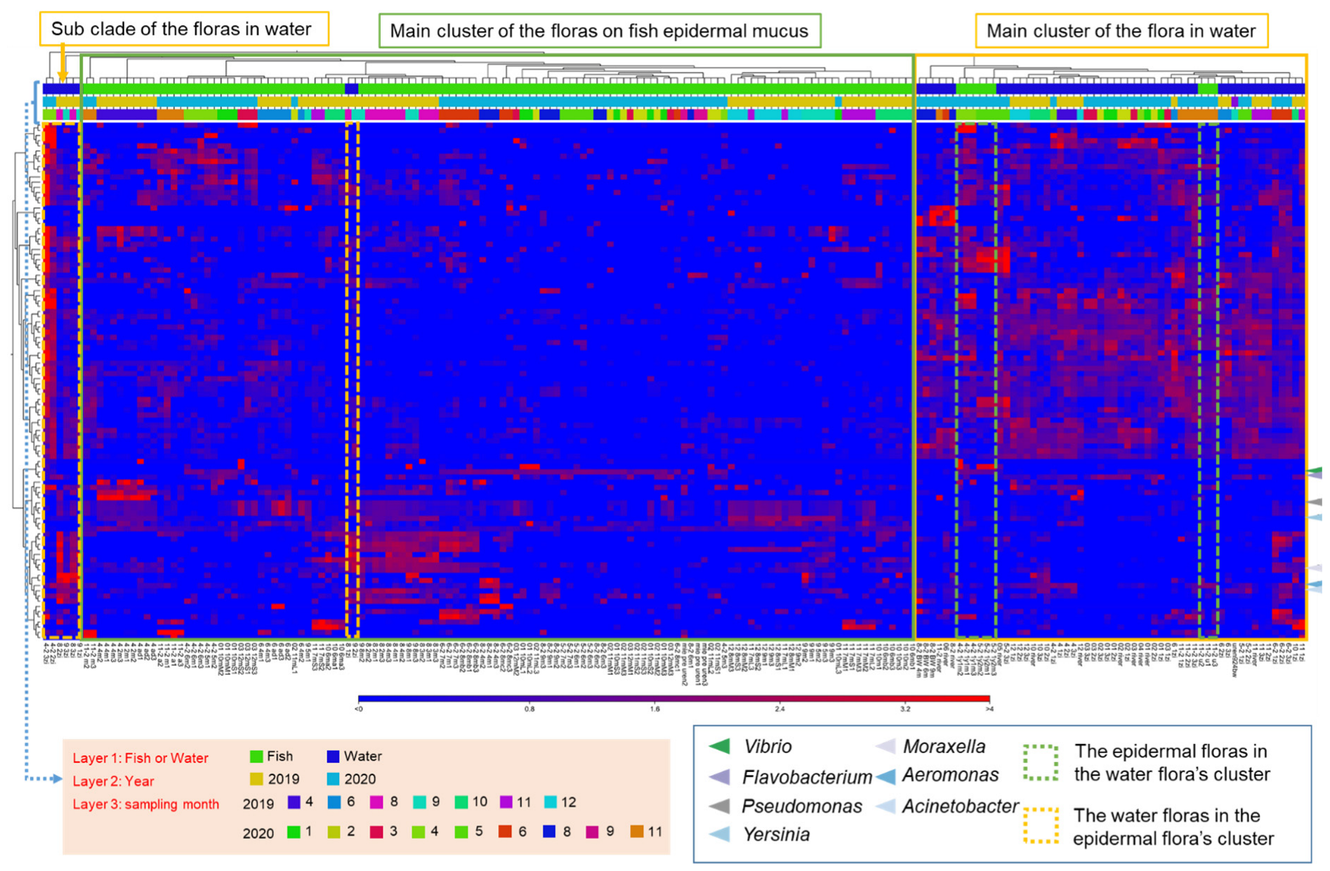 Biology 11 01249 g002 550