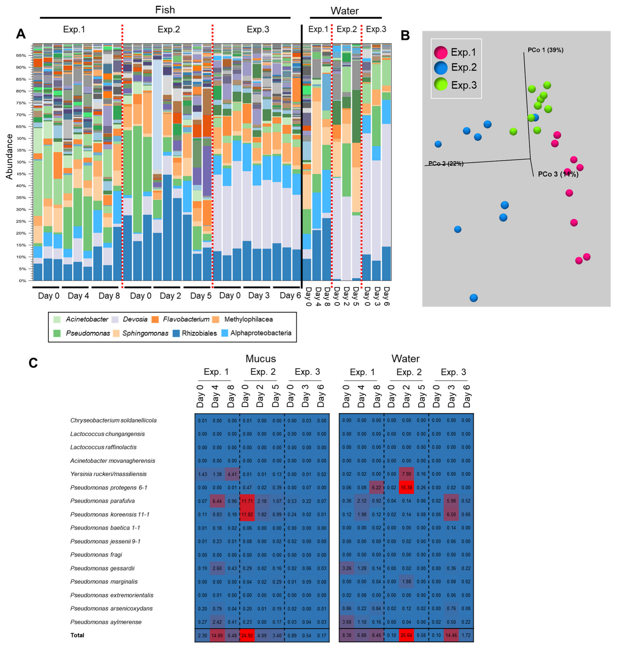 Biology 11 01249 g006 550
