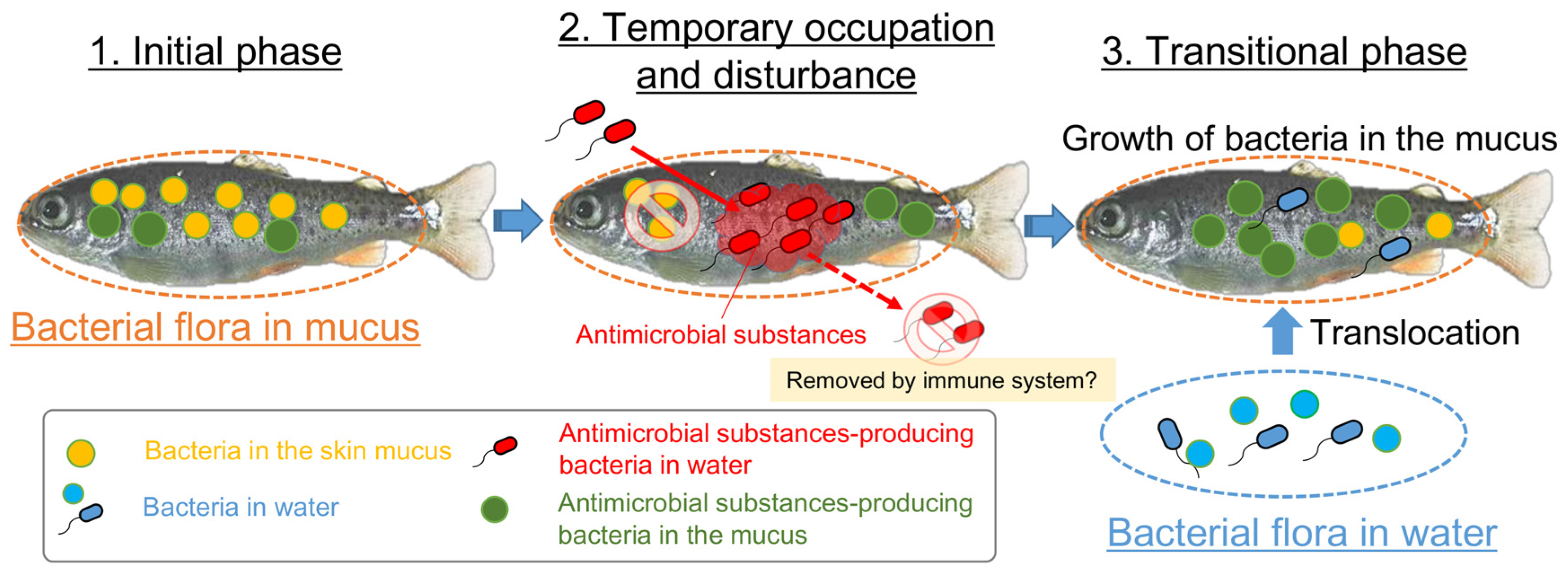 Biology 11 01249 g008 550