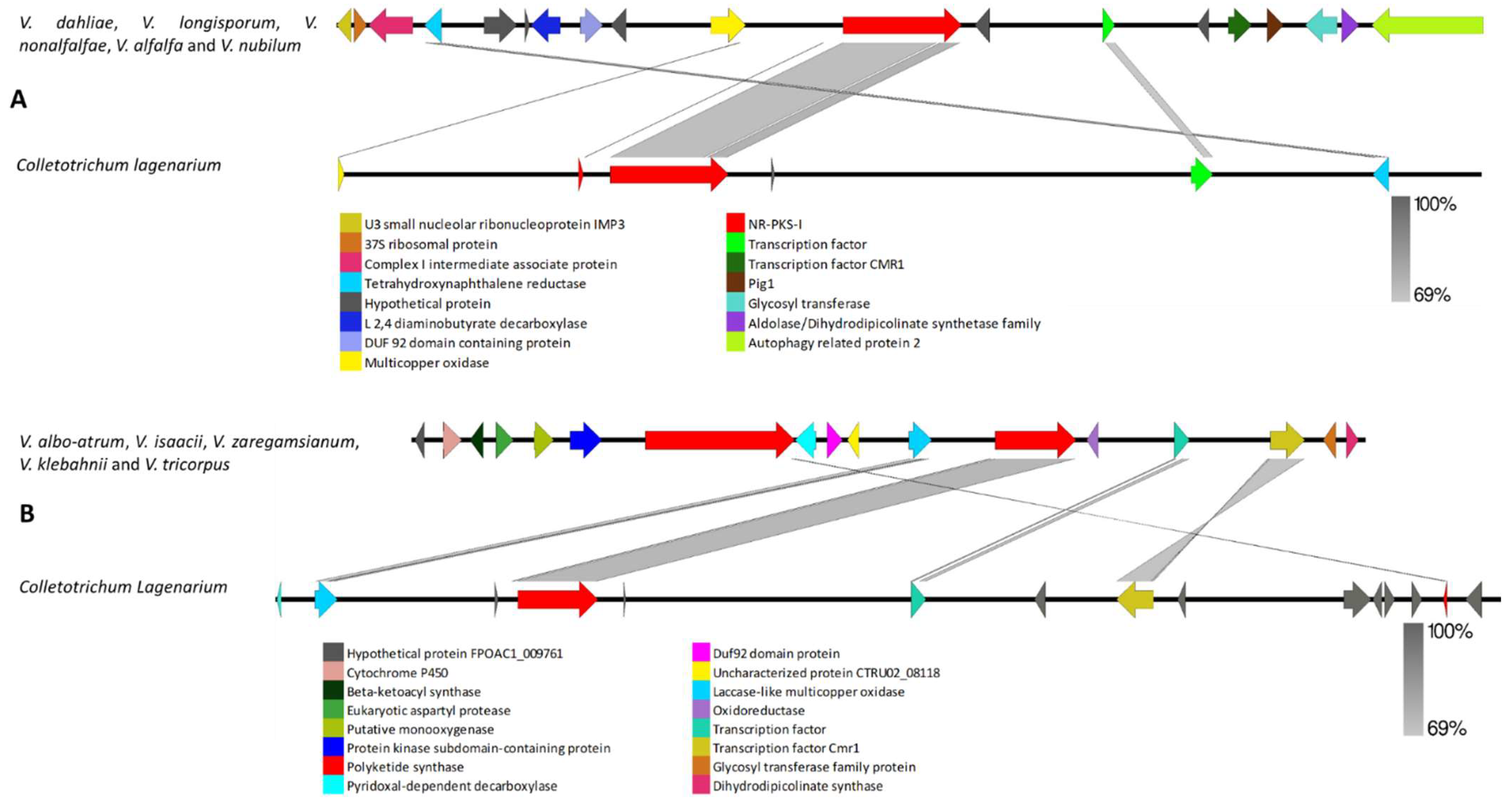Biology 11 01252 g004