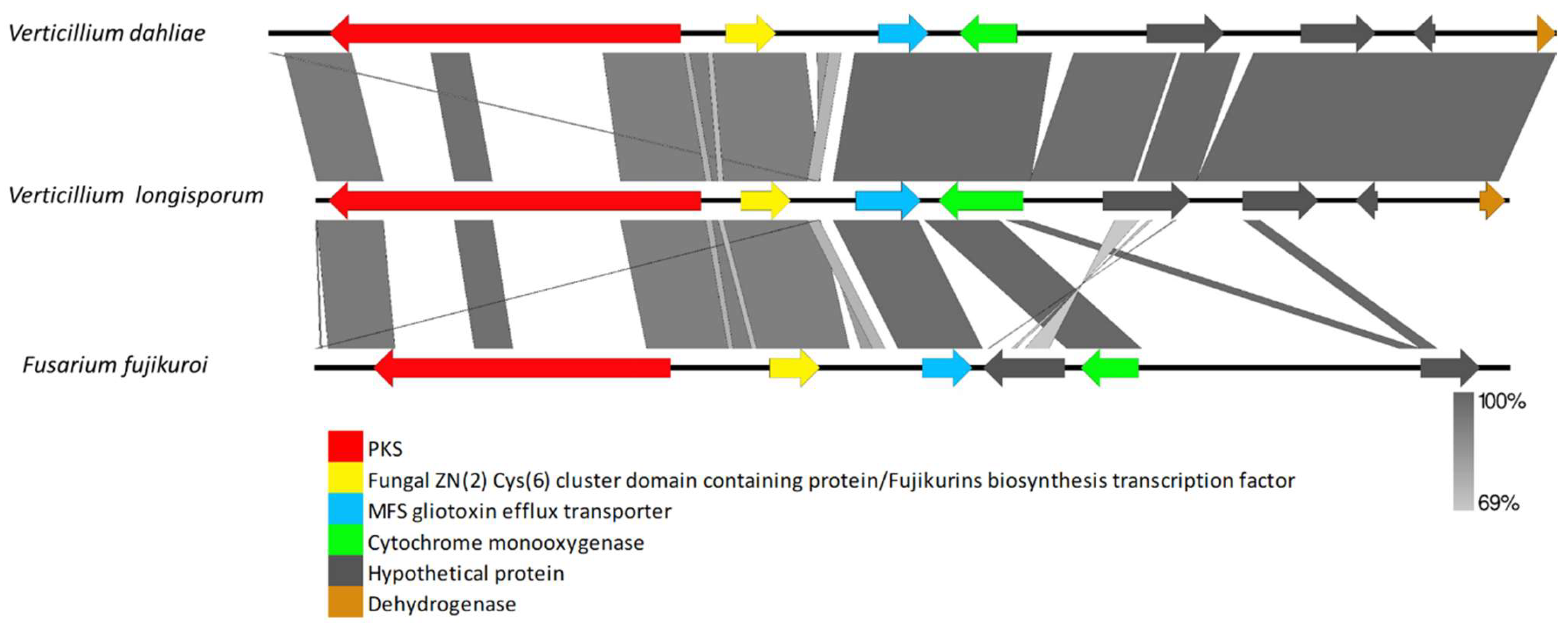 Biology 11 01252 g006