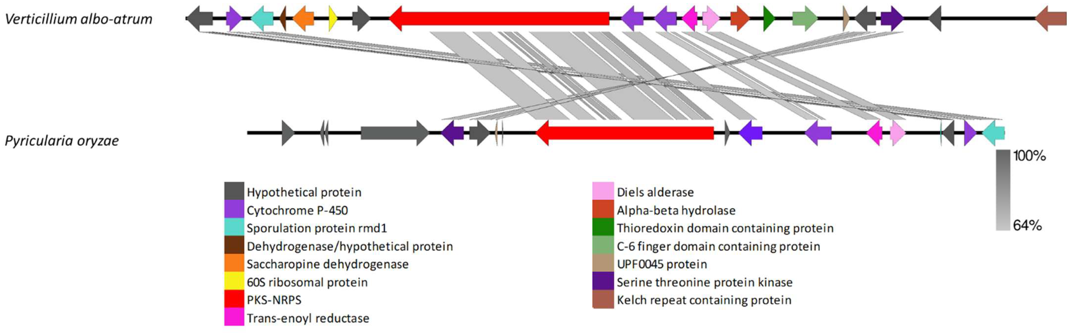 Biology 11 01252 g010