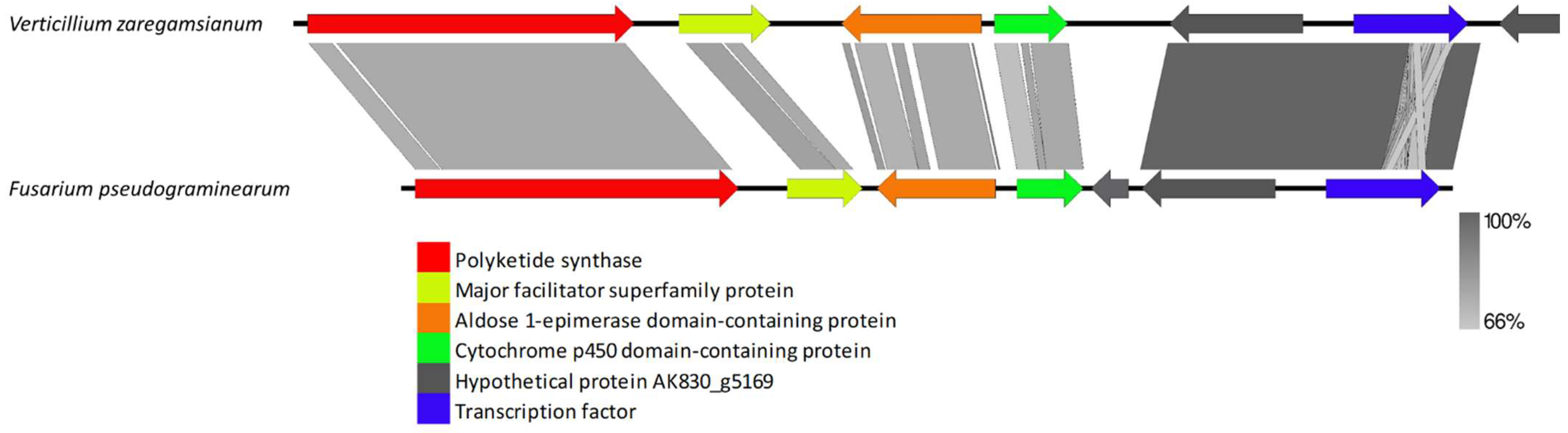 Biology 11 01252 g011