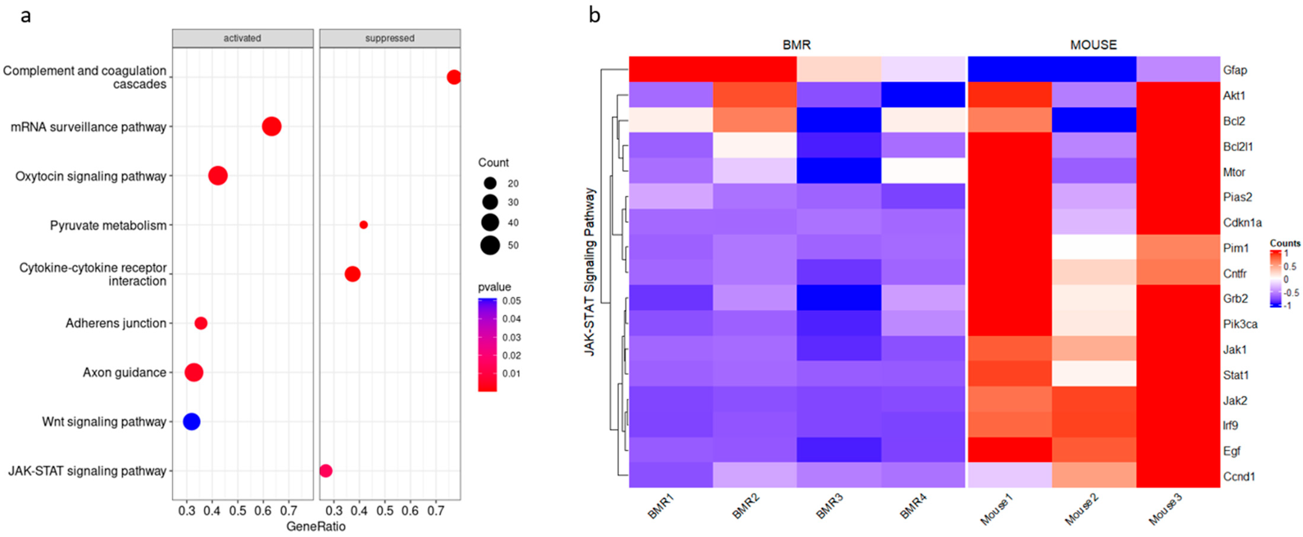 Biology 11 01253 g001