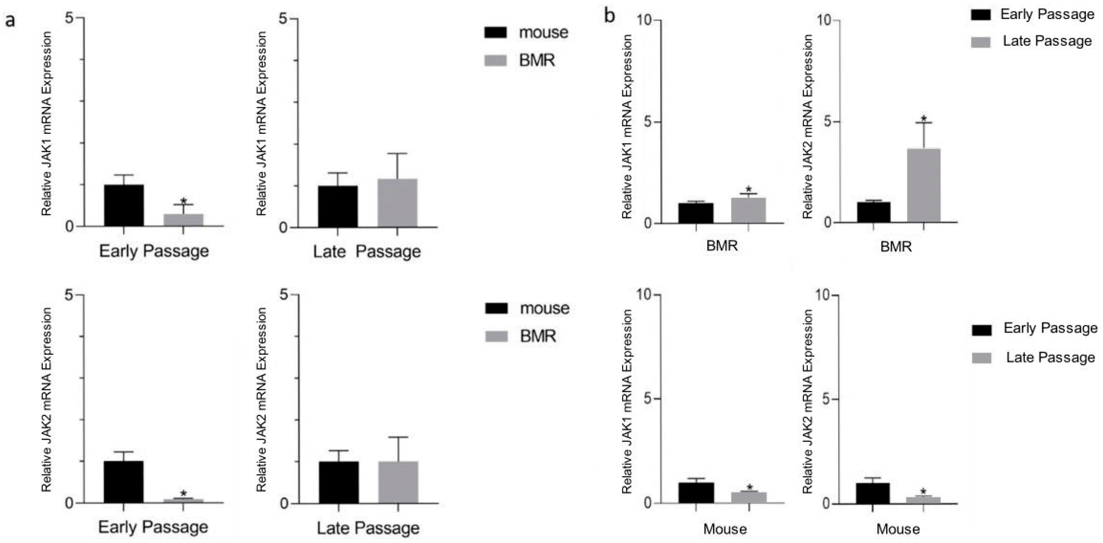 Biology 11 01253 g002