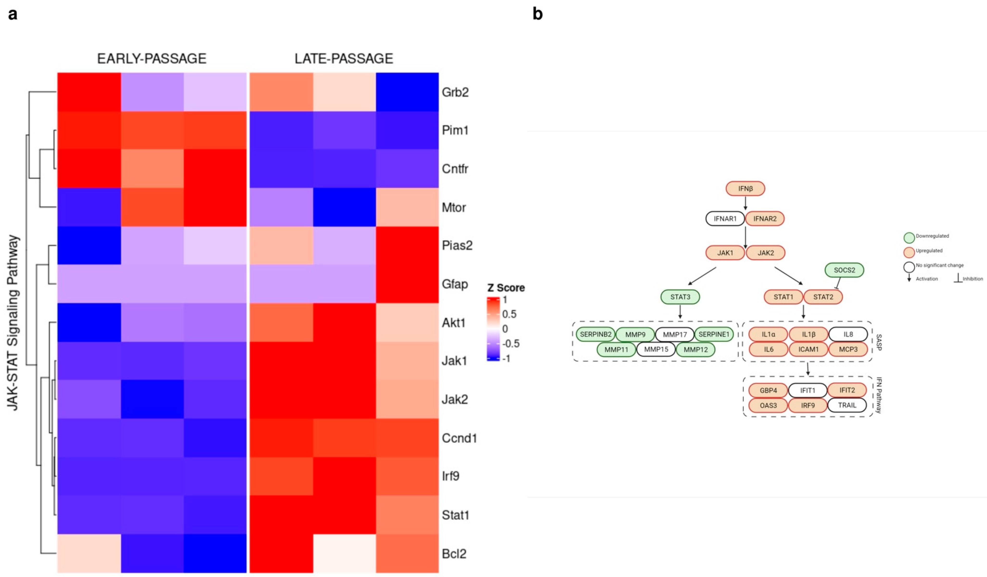 Biology 11 01253 g003