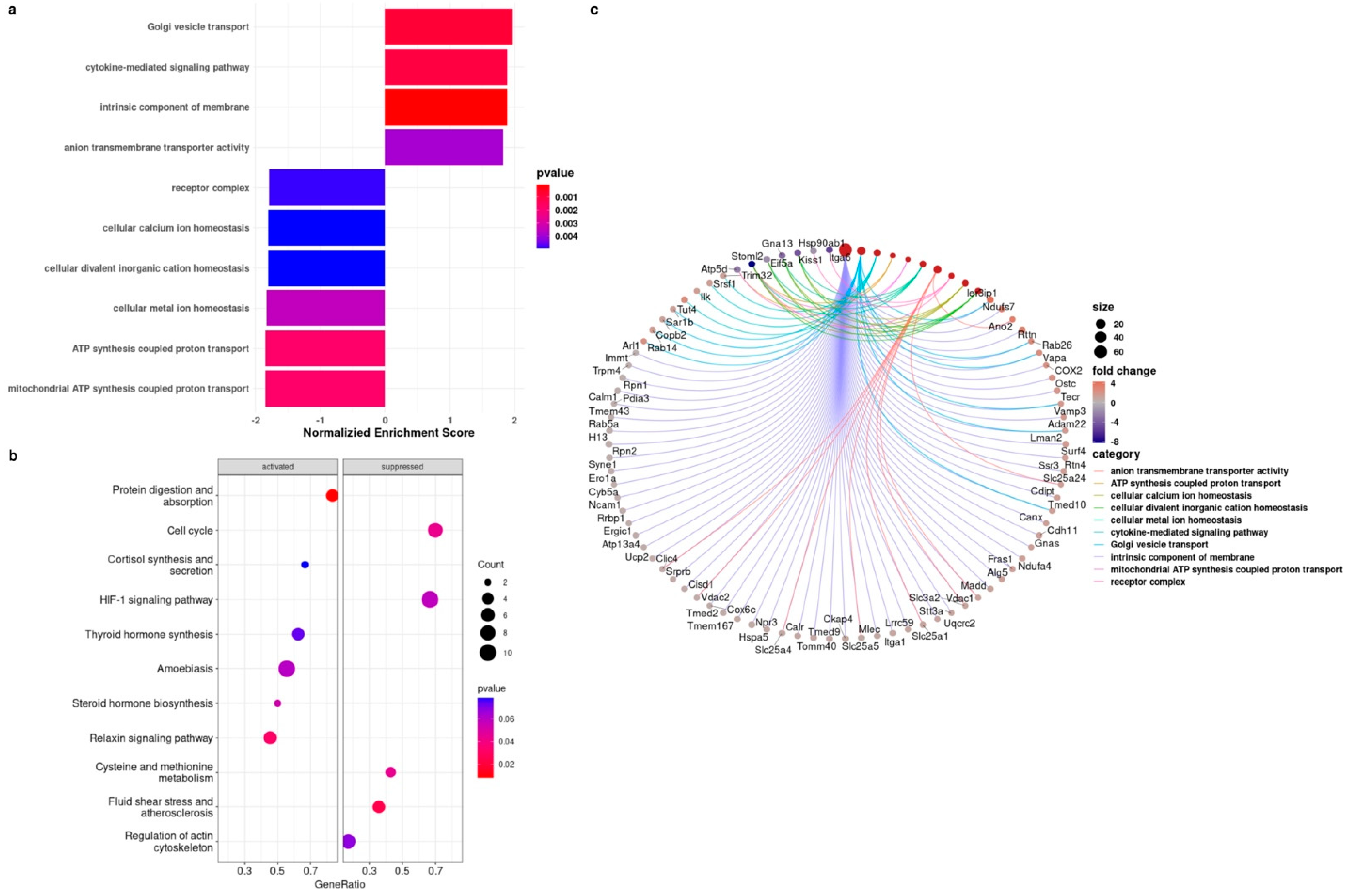 Biology 11 01253 g004
