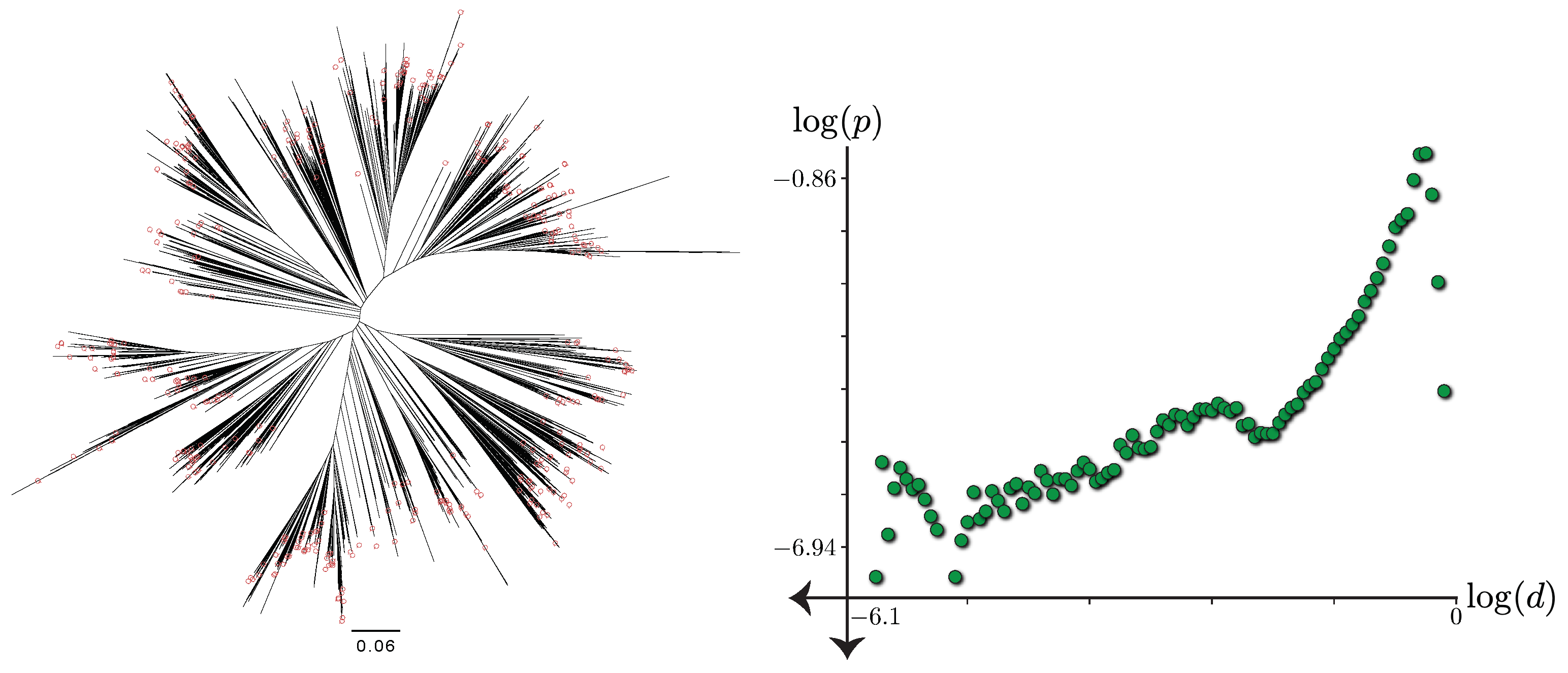 Biology 11 01256 g002