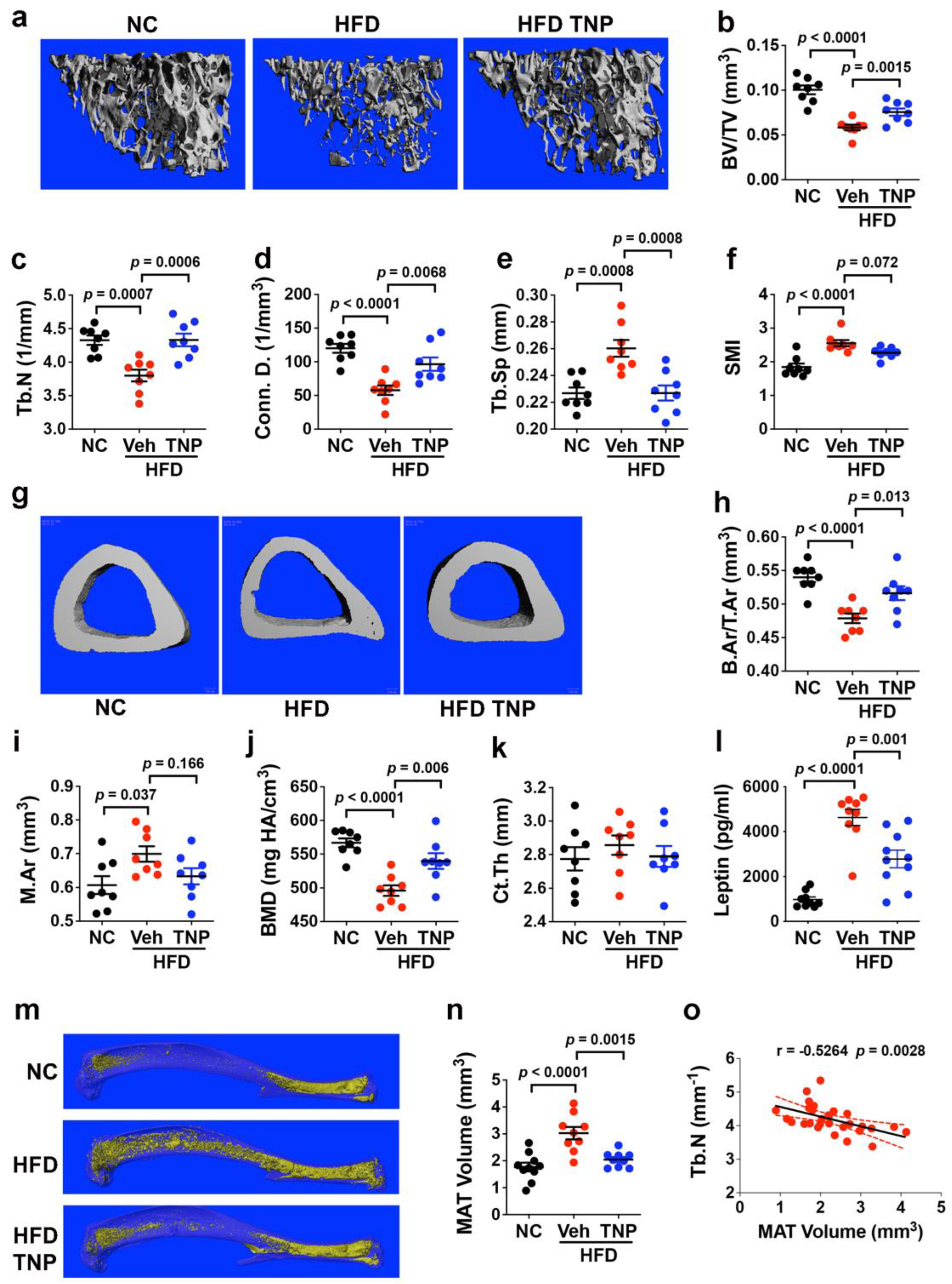 Biology 11 01257 g002 Biology 11 01257 g002