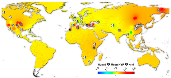 World Adidas x Sean Wotherspoon ZX 8000 