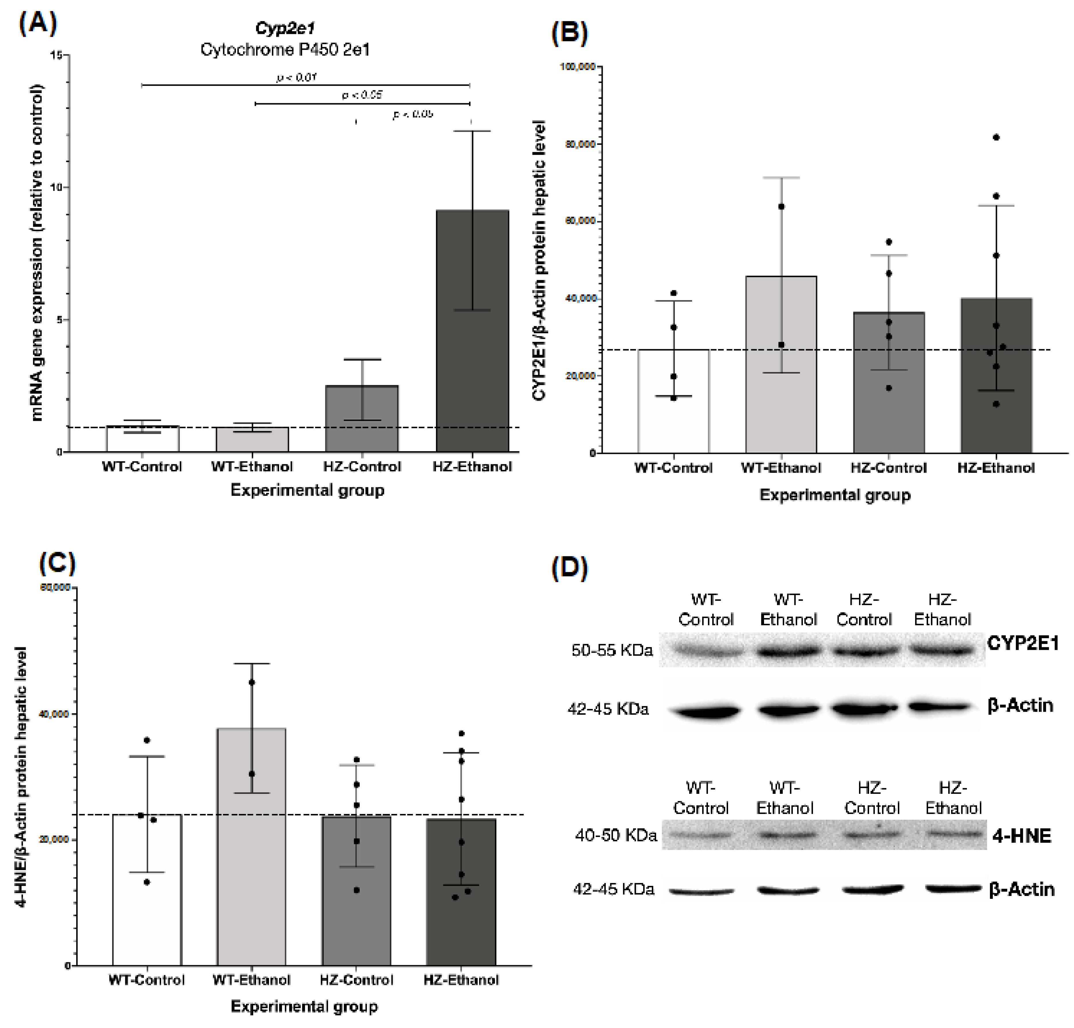 Biology 11 01264 g003