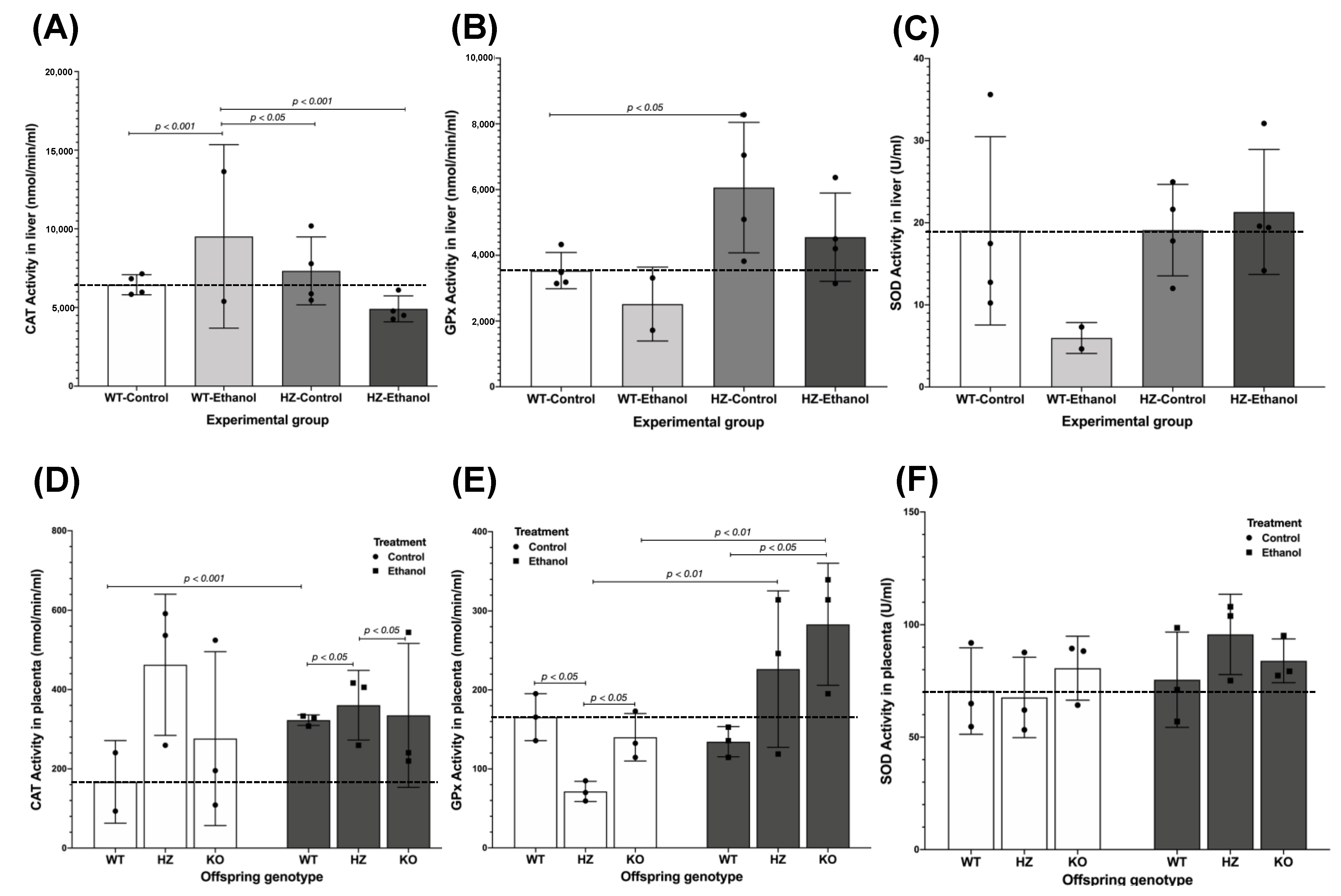 Biology 11 01264 g005