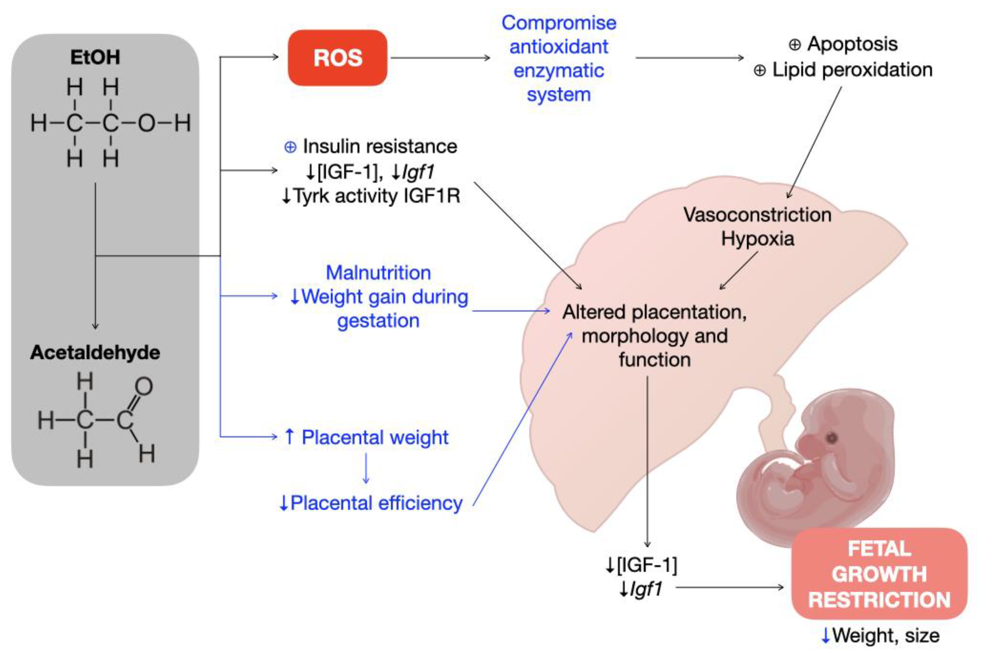 Biology 11 01264 g006