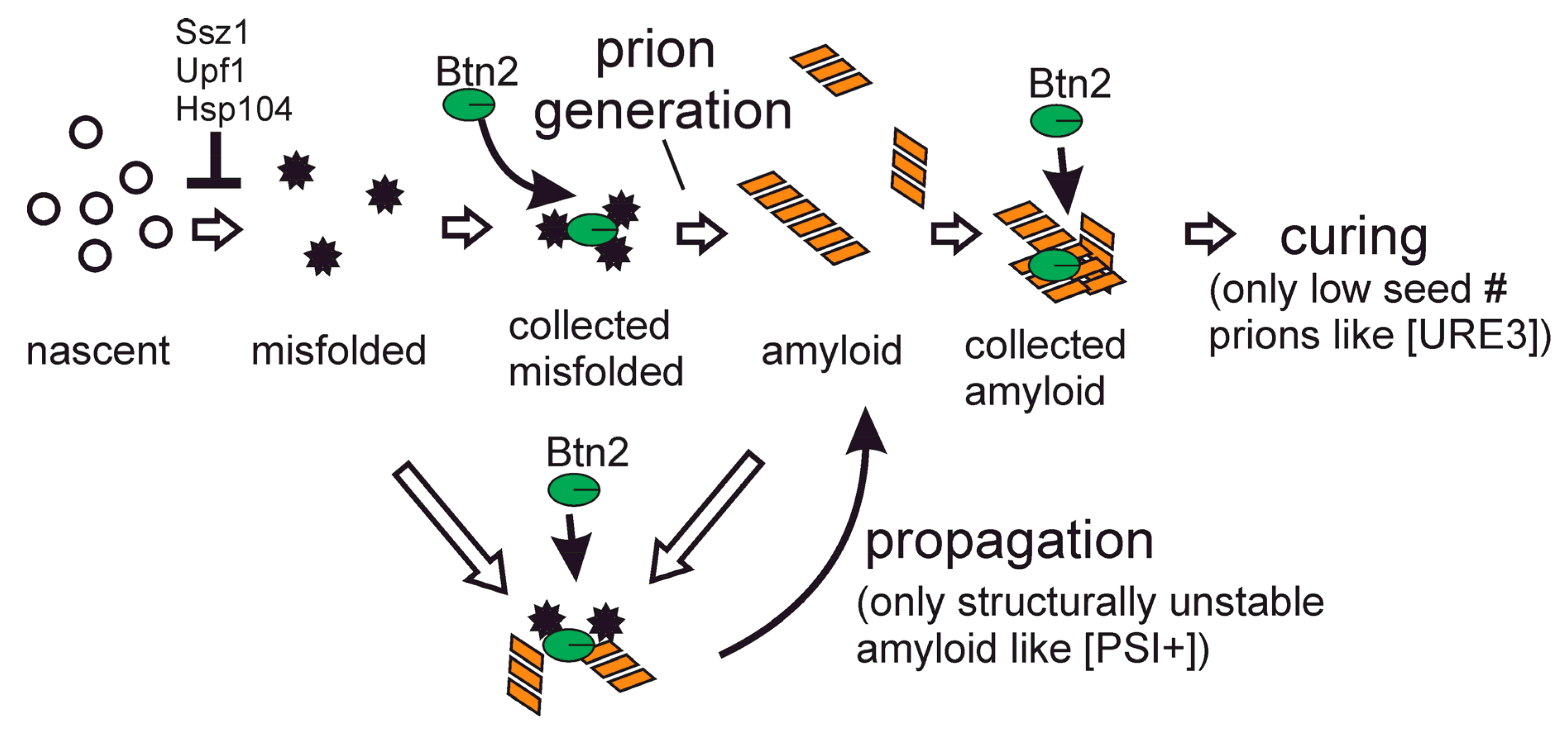 Biology 11 01266 g004 Biology 11 01266 g004