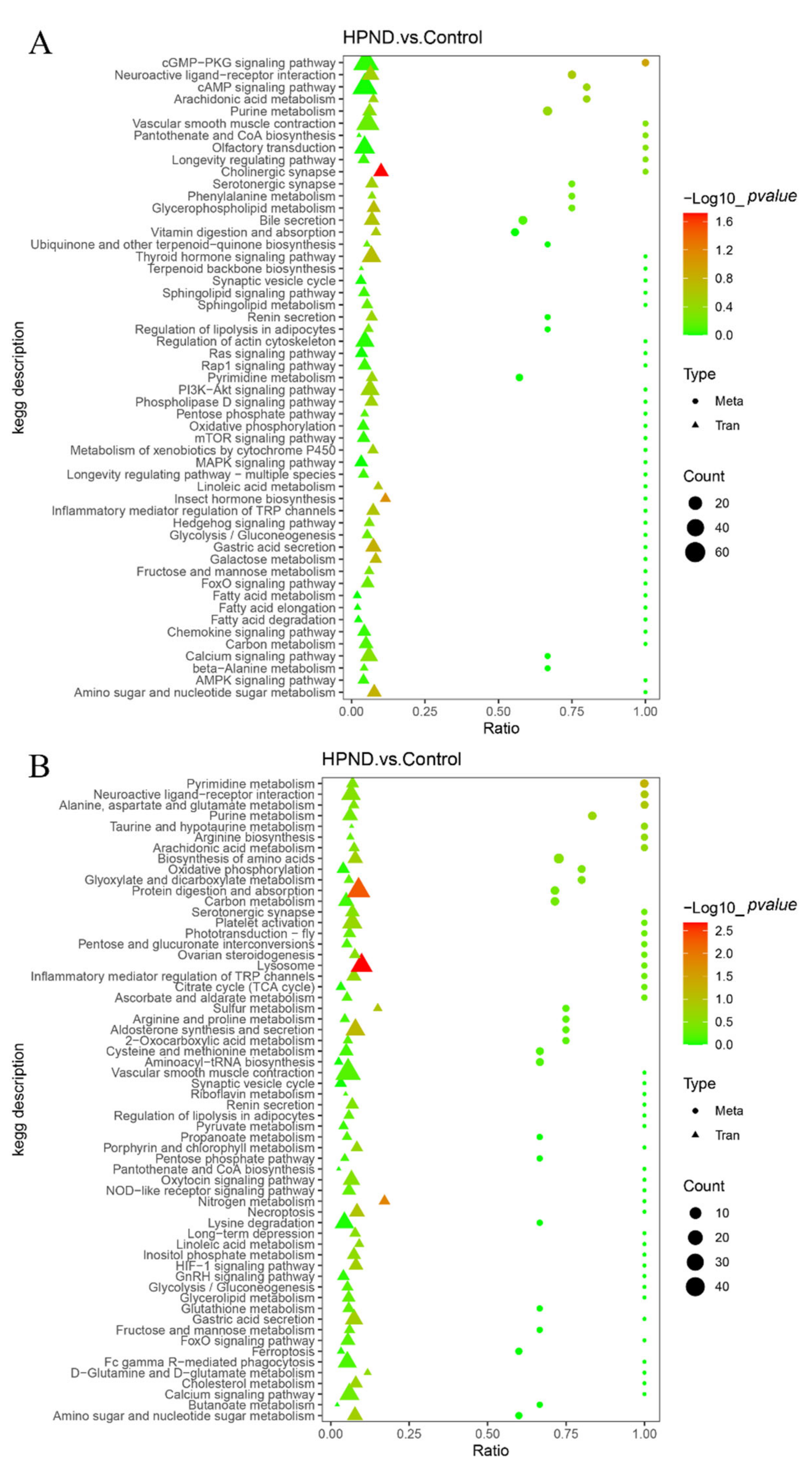 Biology 11 01267 g006 Biology 11 01267 g006