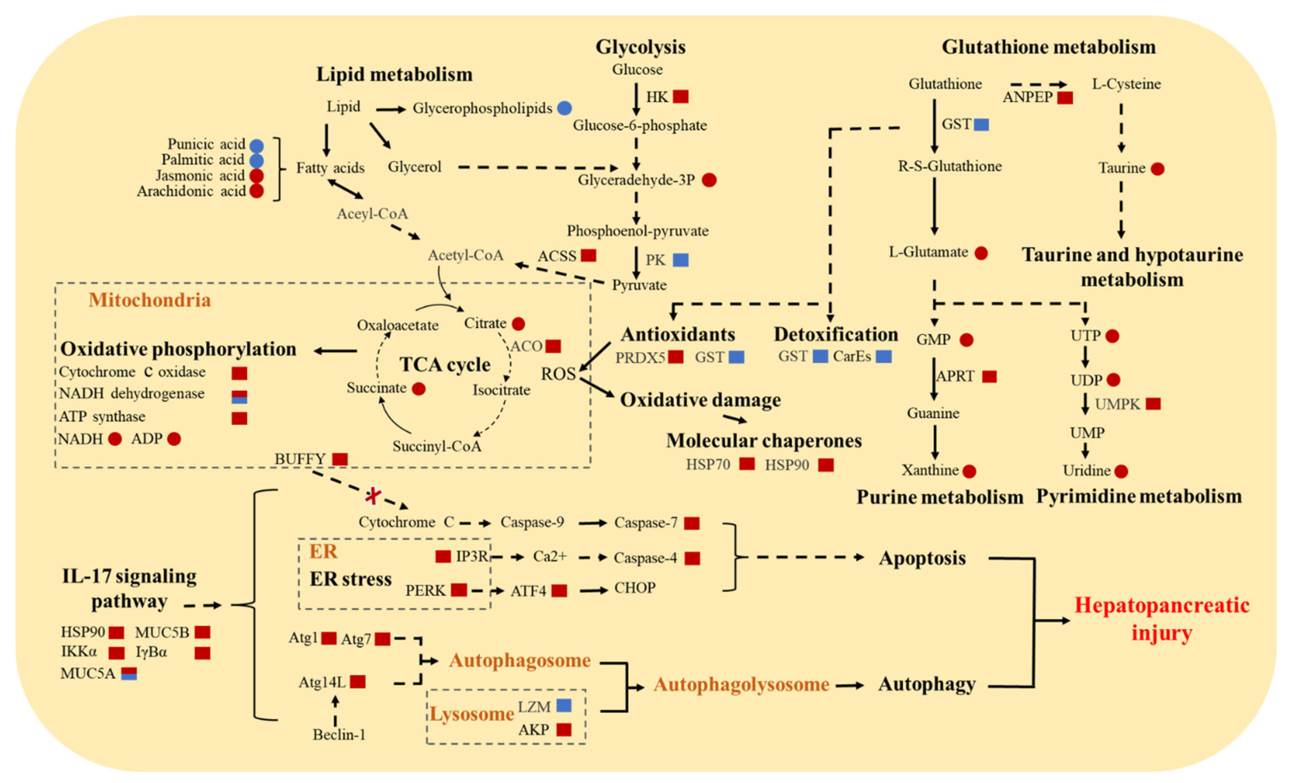 Biology 11 01267 g007 Biology 11 01267 g007