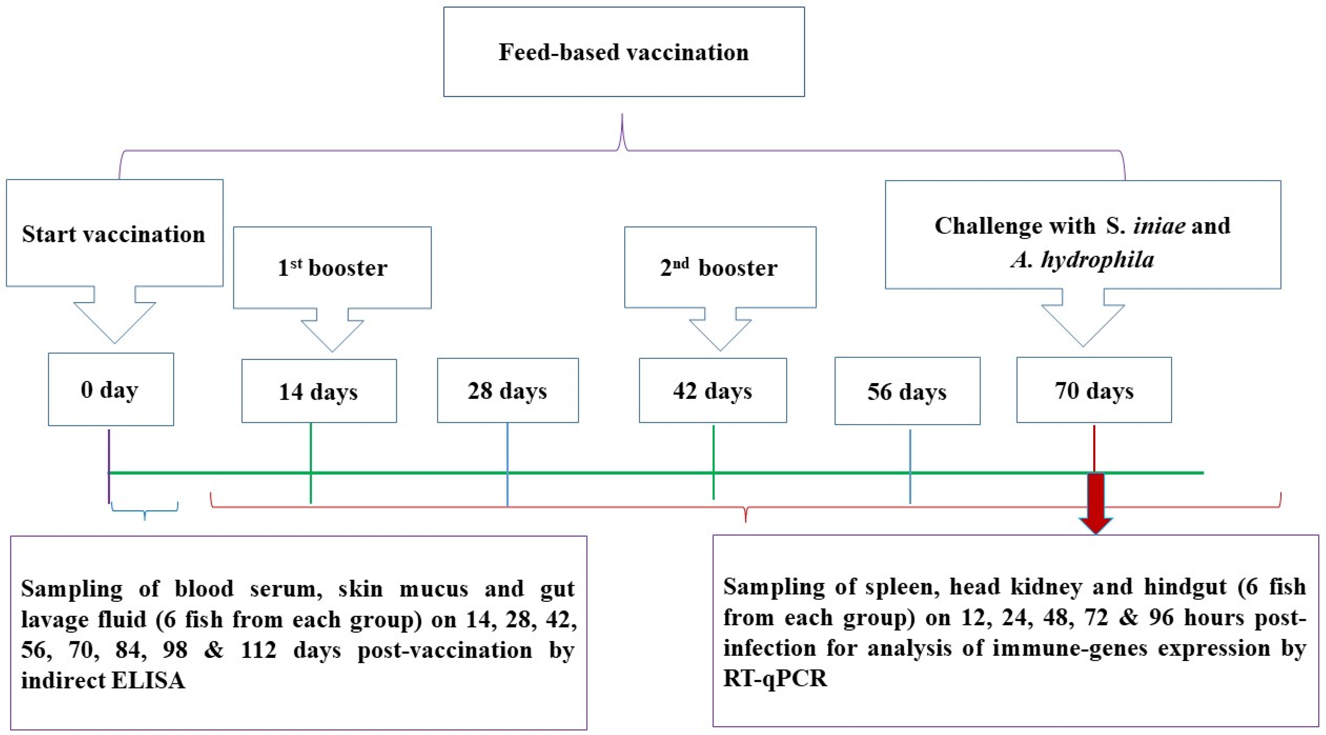 Biology 11 01268 g001 Biology 11 01268 g001