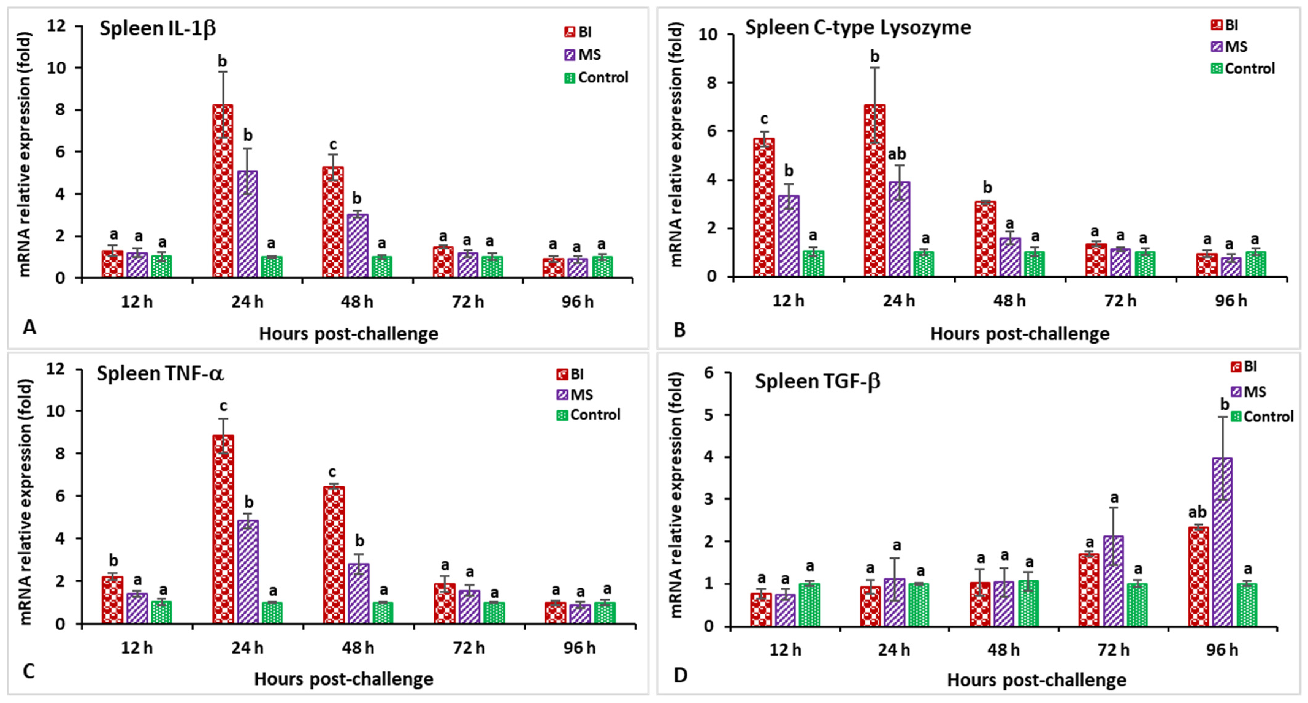 Biology 11 01268 g003 Biology 11 01268 g003