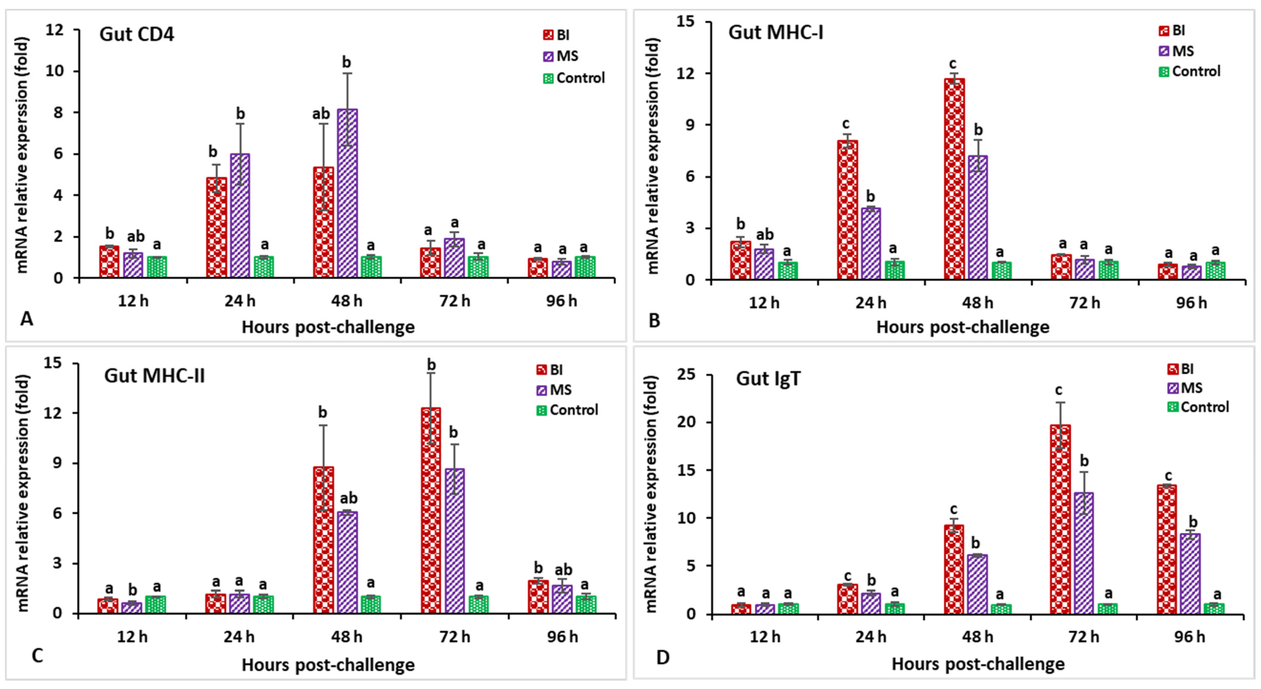 Biology 11 01268 g008 Biology 11 01268 g008