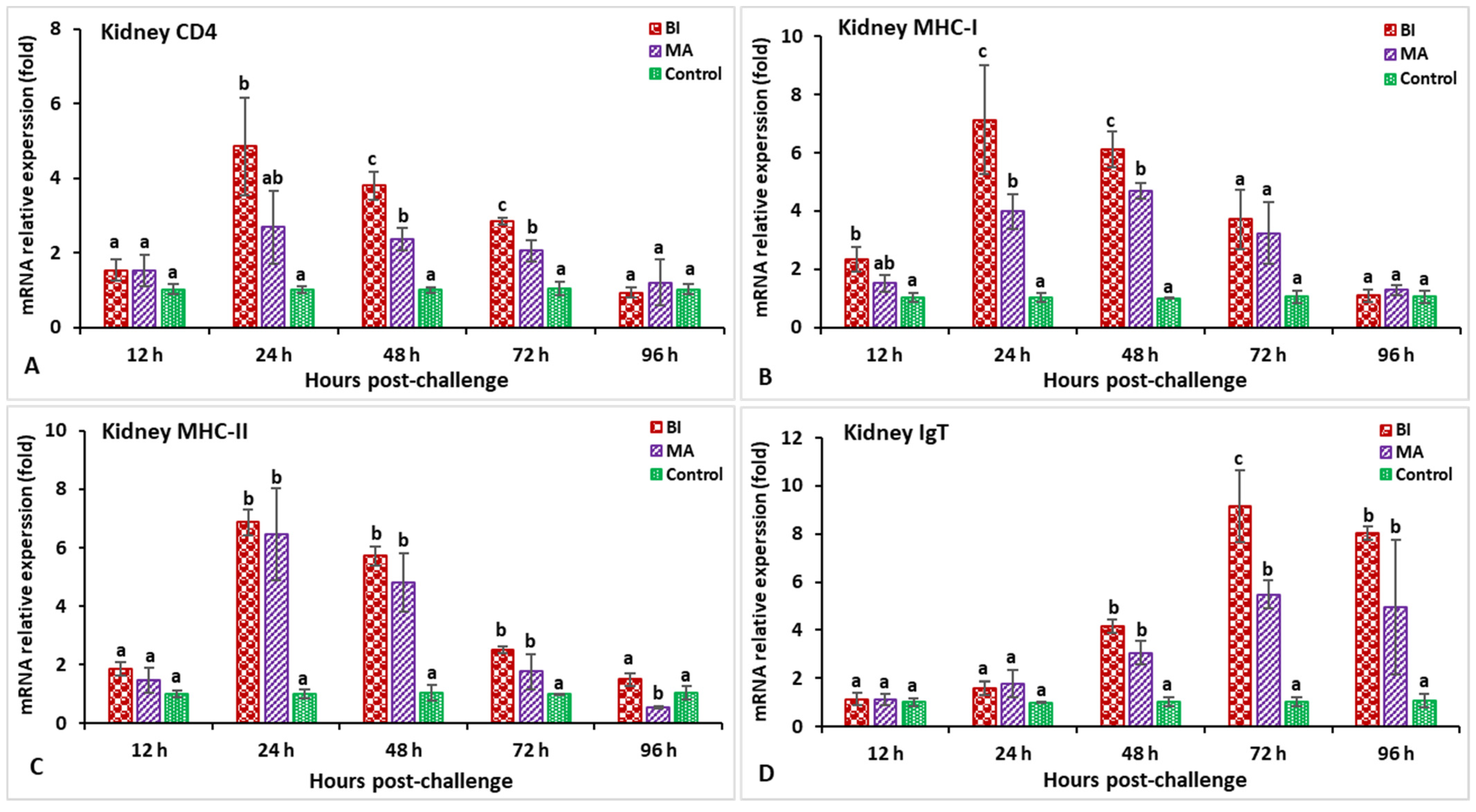 Biology 11 01268 g012 Biology 11 01268 g012
