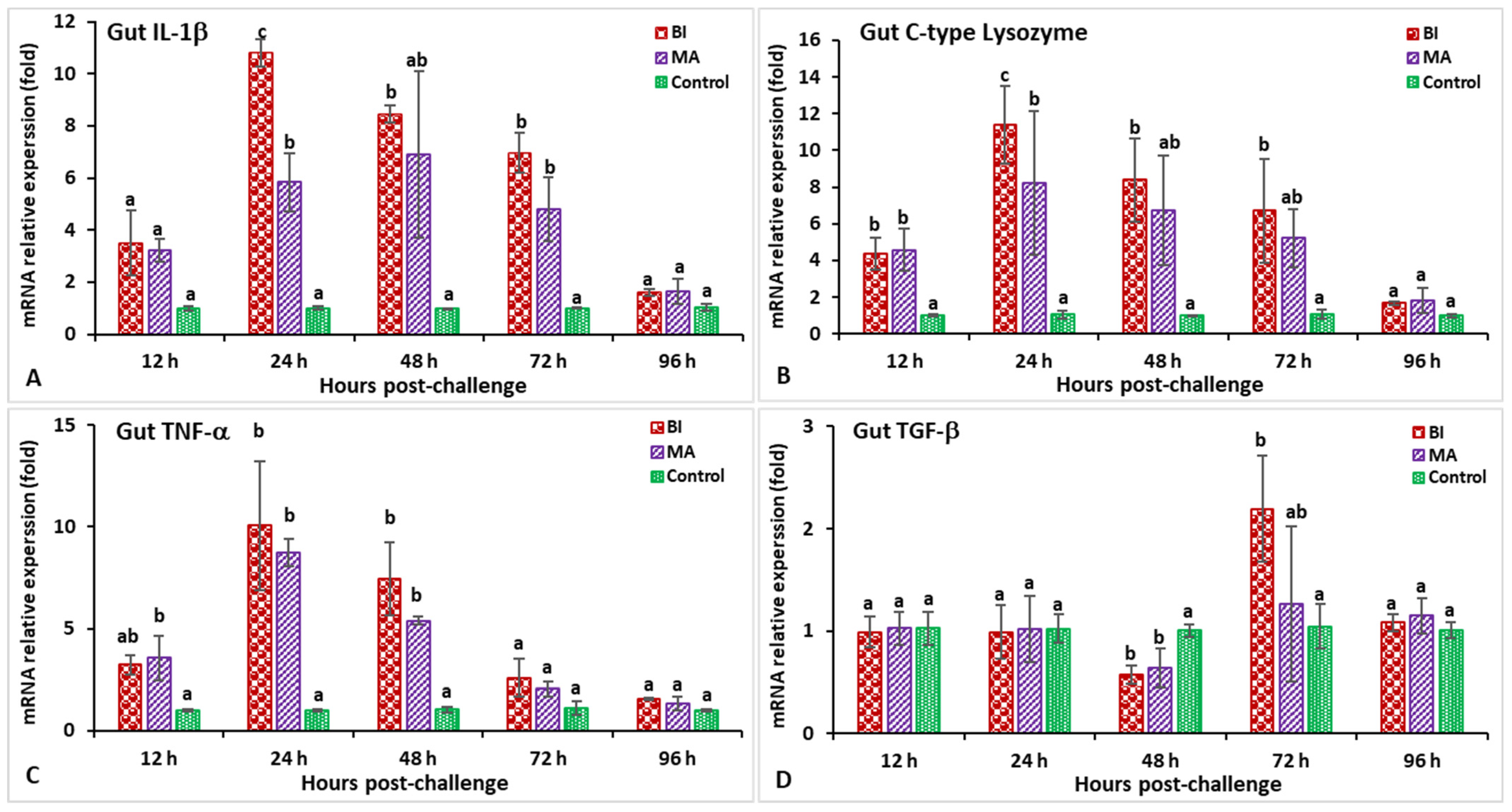 Biology 11 01268 g013 Biology 11 01268 g013