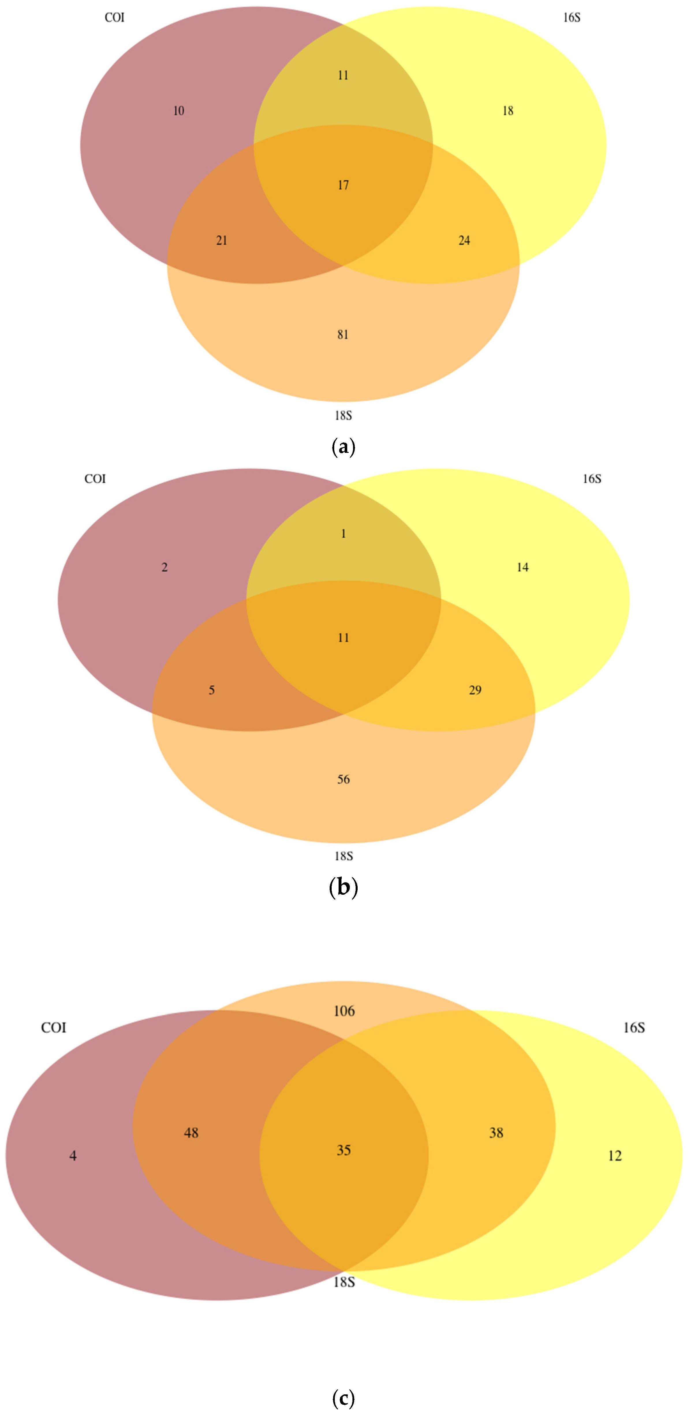 Biology 11 01277 g004