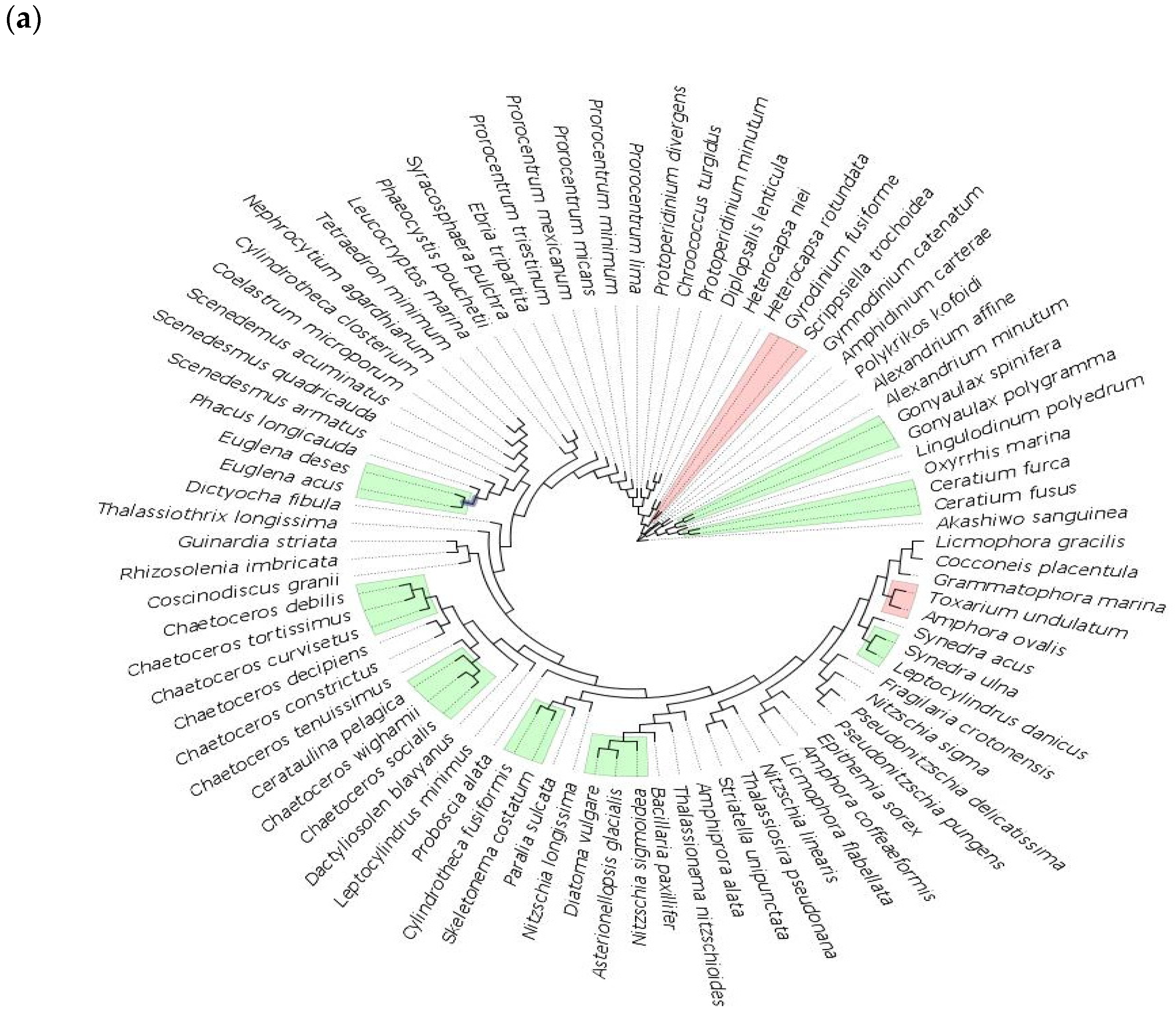 Biology 11 01277 g005a