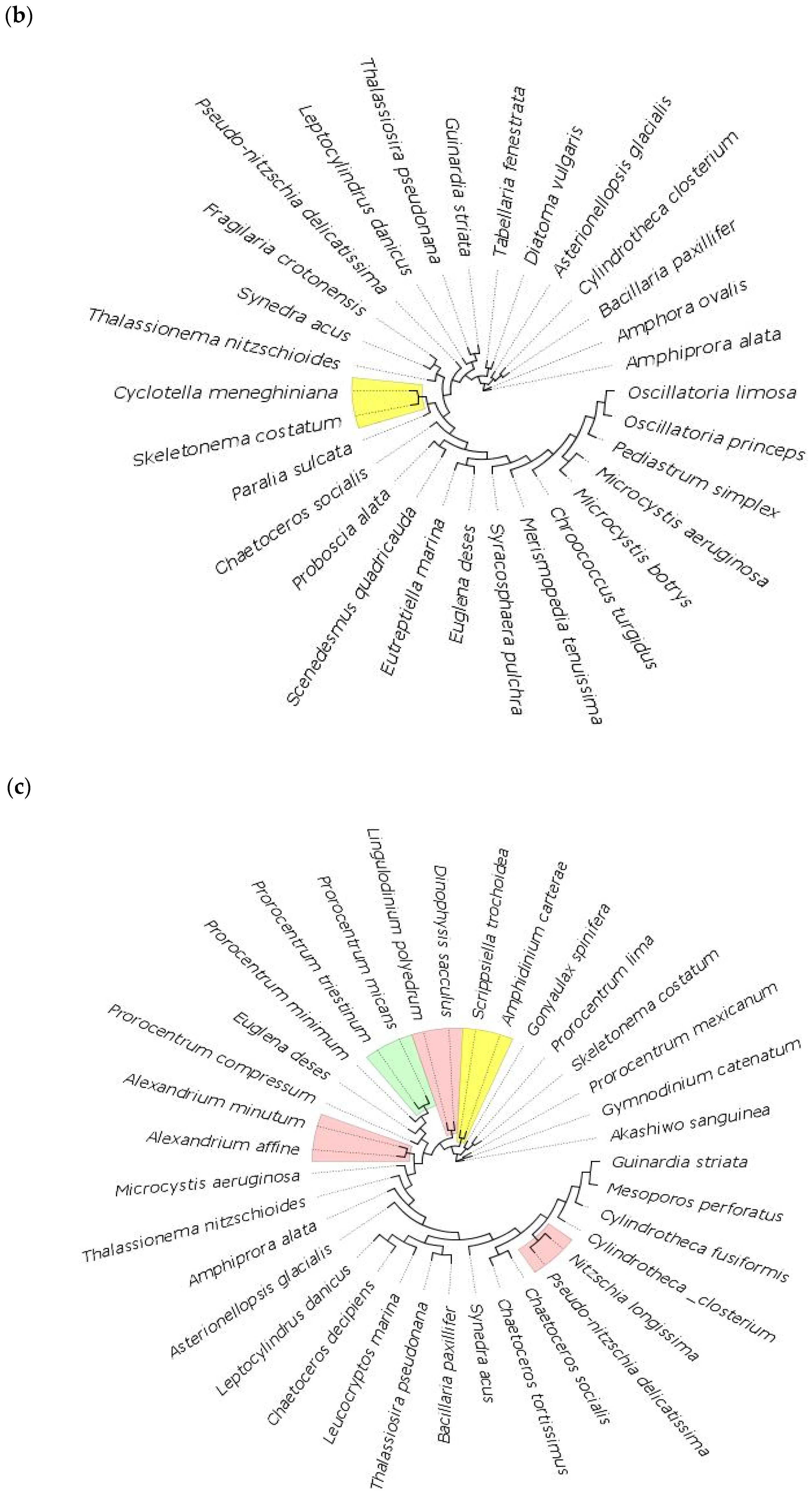 Biology 11 01277 g005b