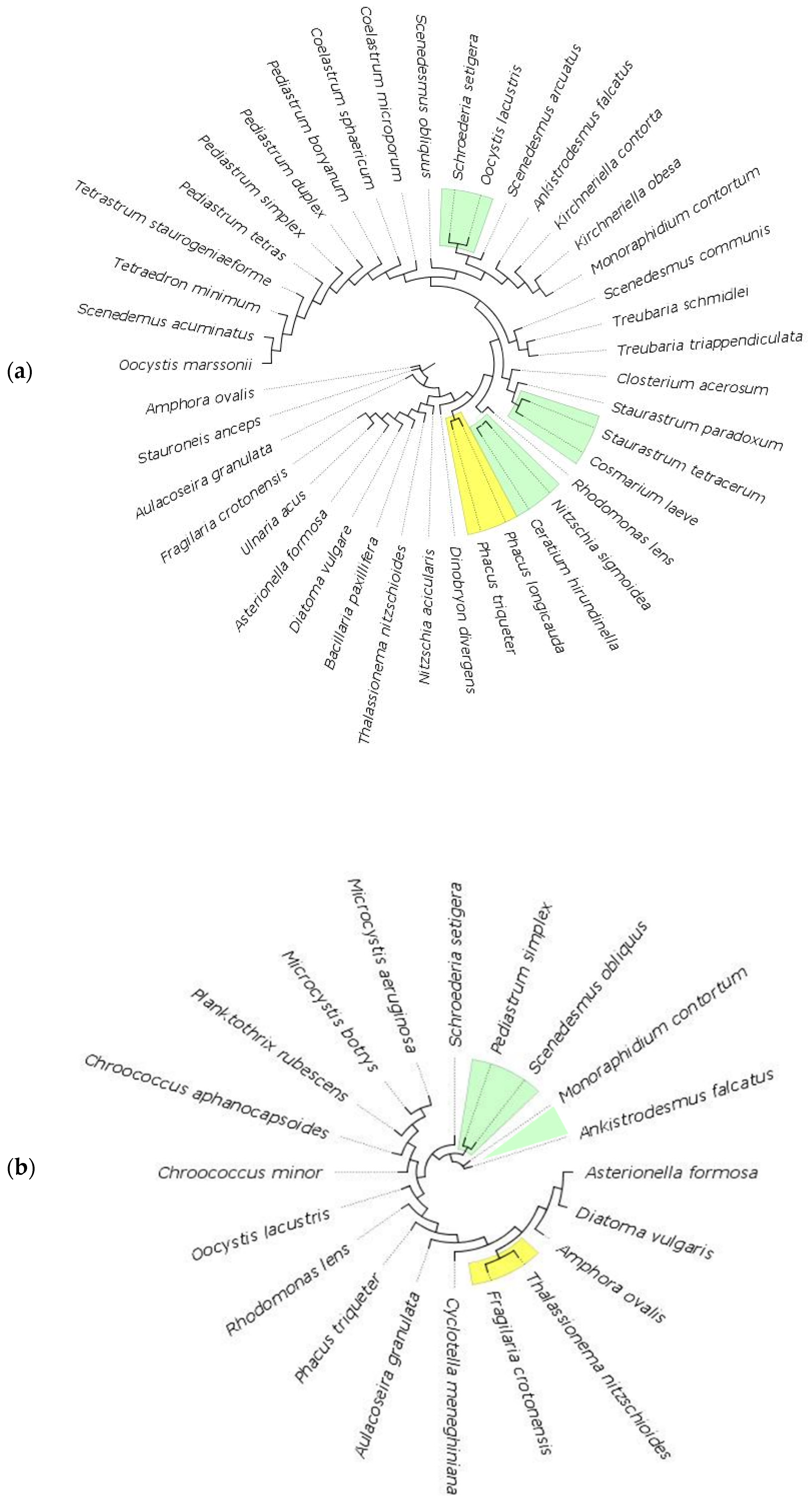 Biology 11 01277 g006