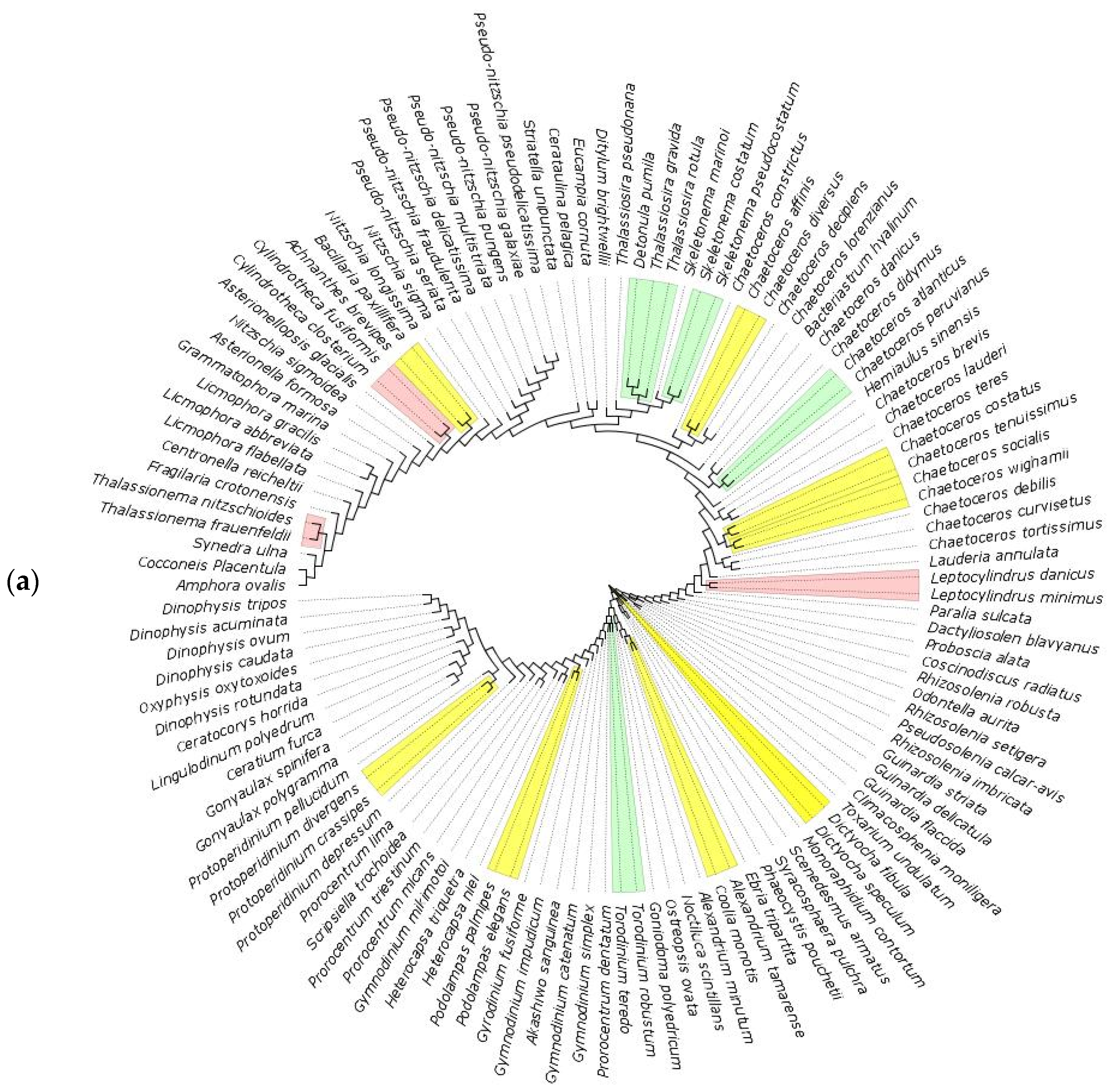 Biology 11 01277 g007a