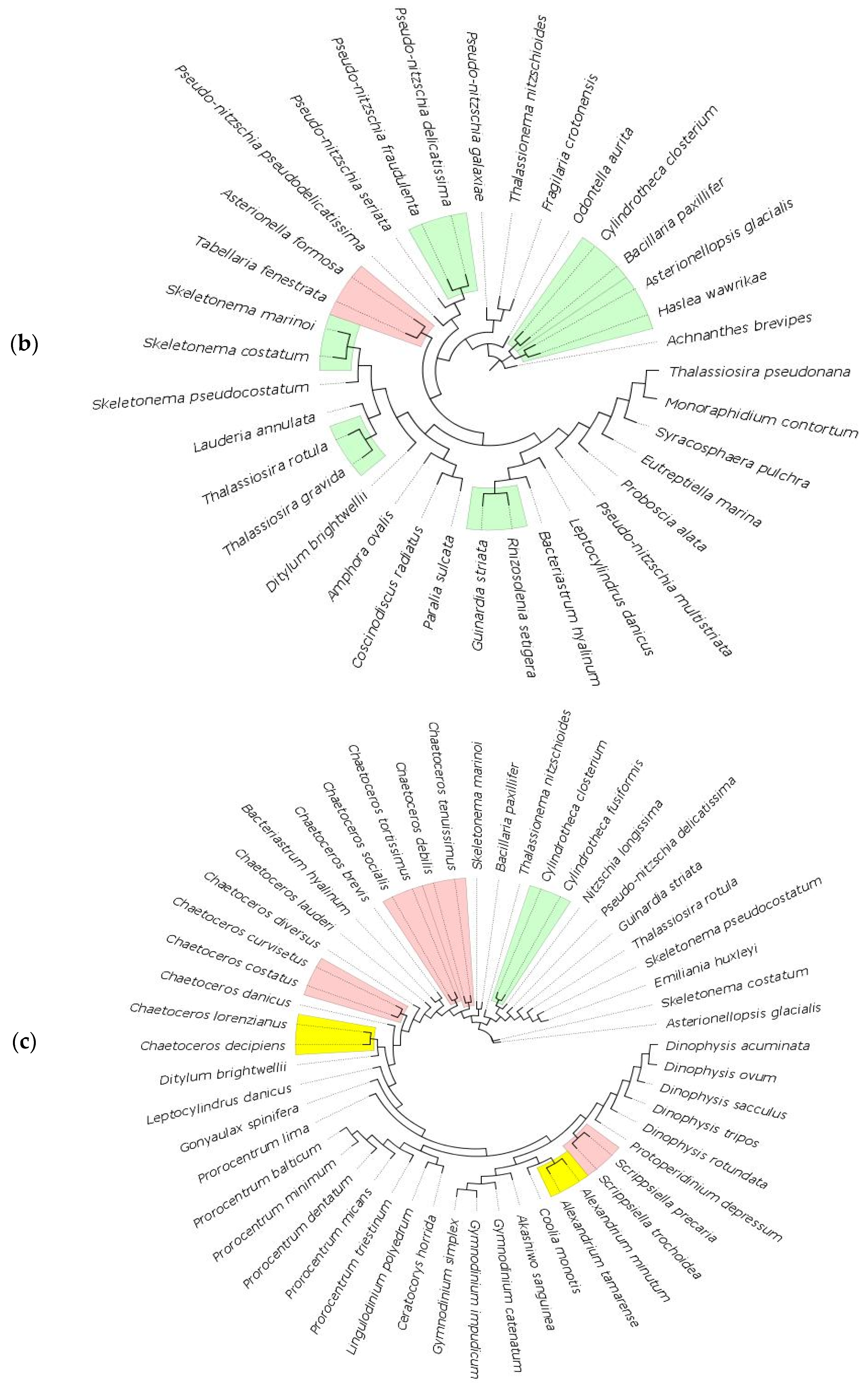 Biology 11 01277 g007b