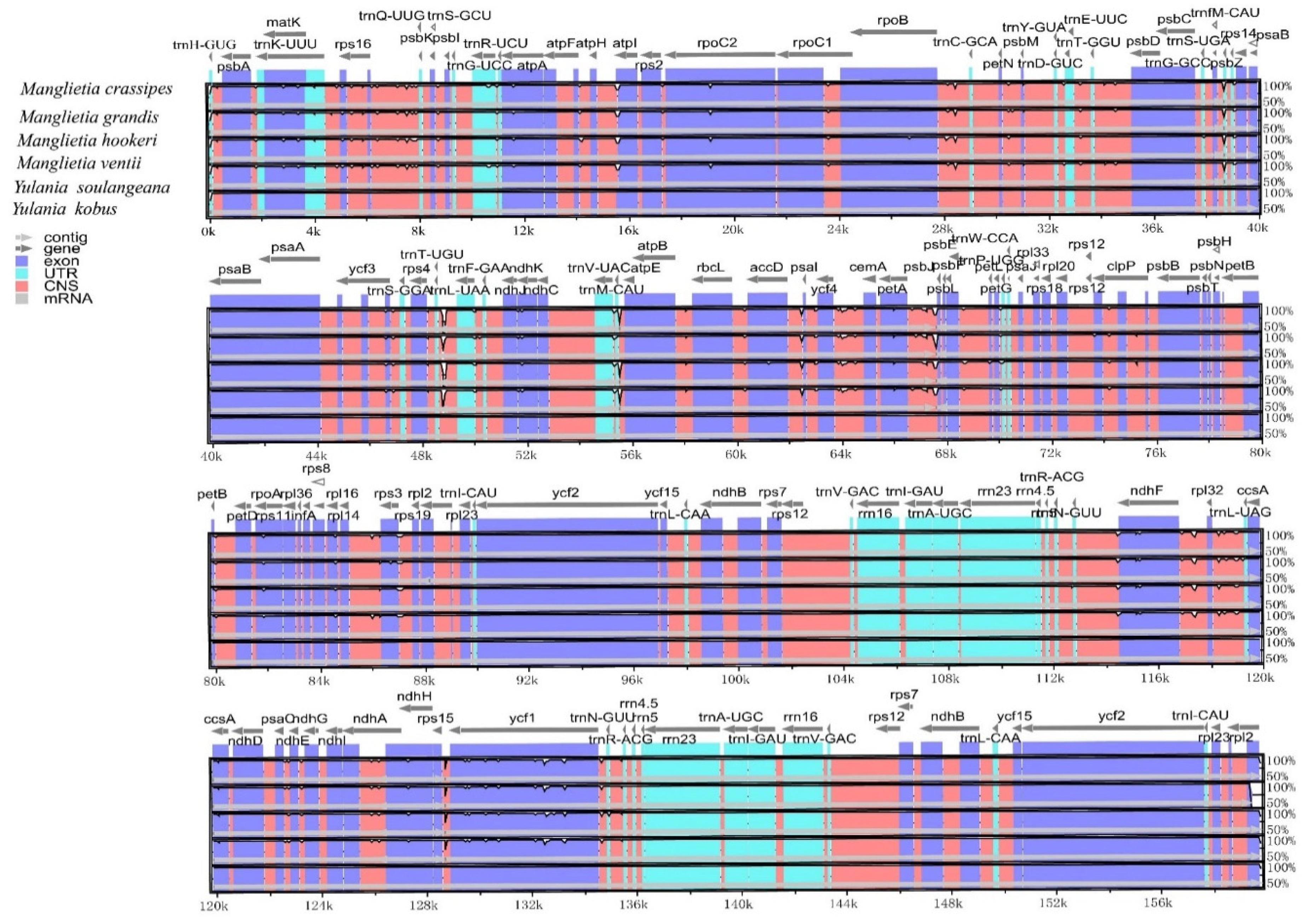 Biology 11 01279 g002 550