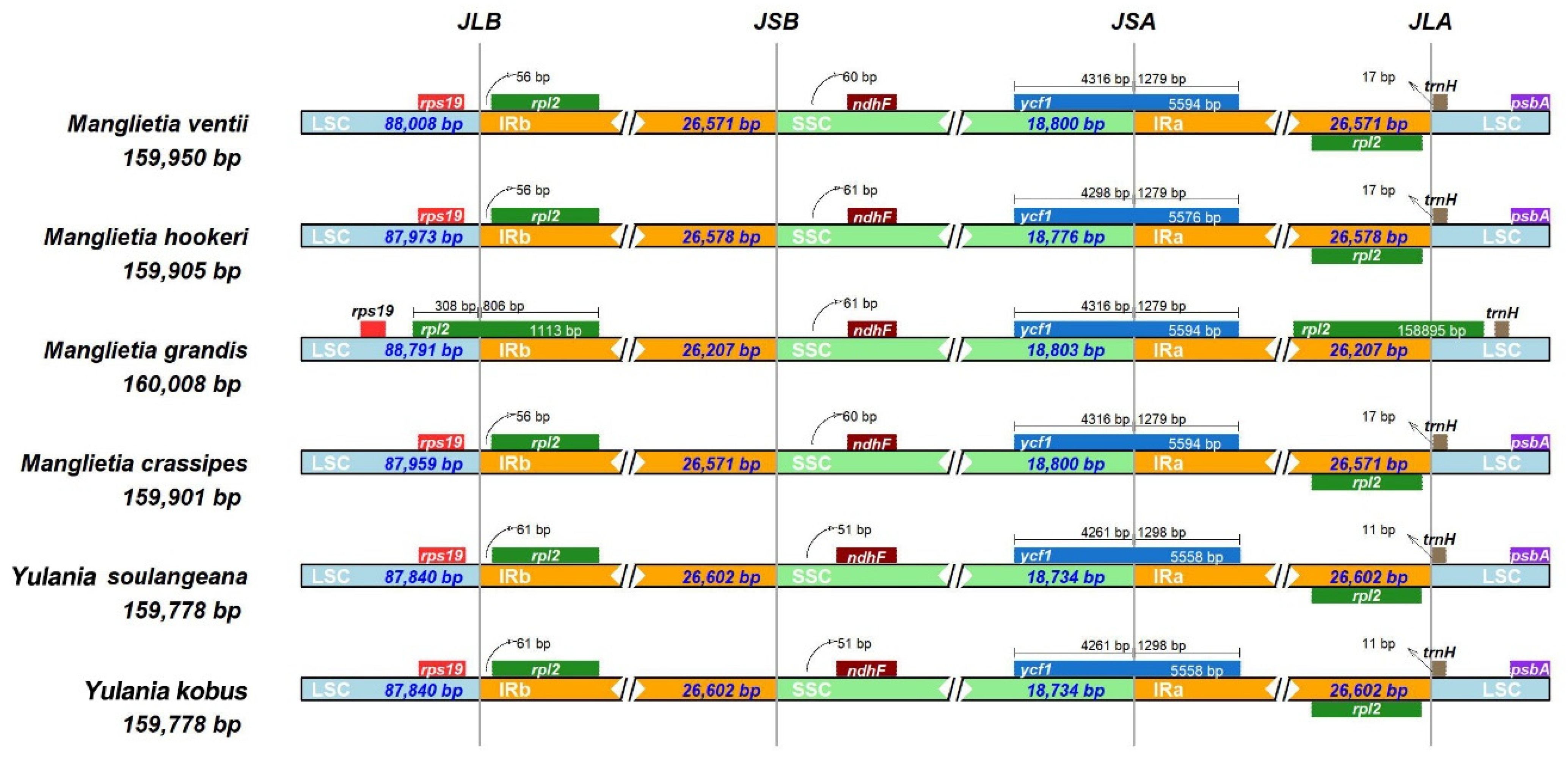 Biology 11 01279 g004 550