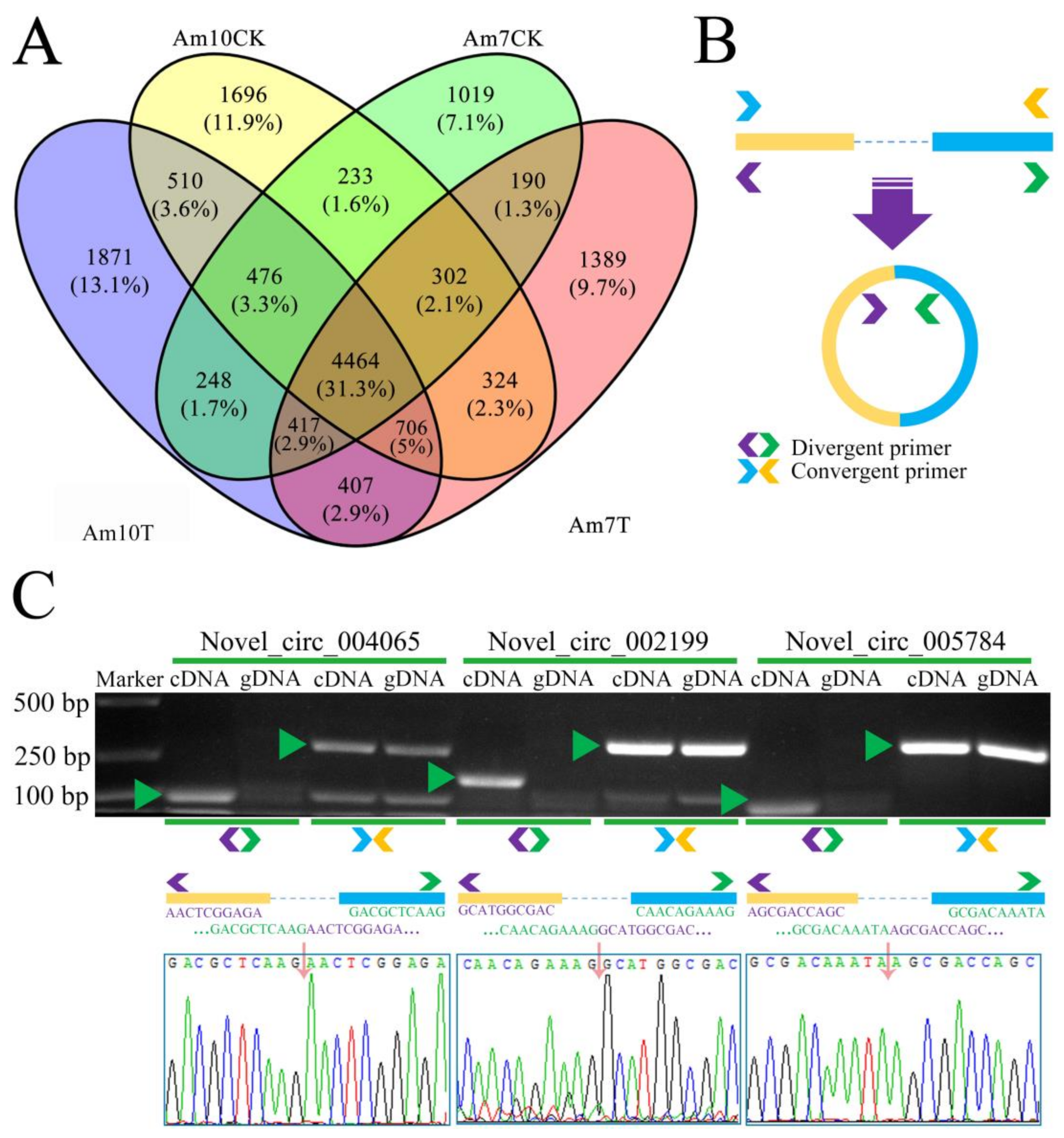 Biology 11 01285 g001 550