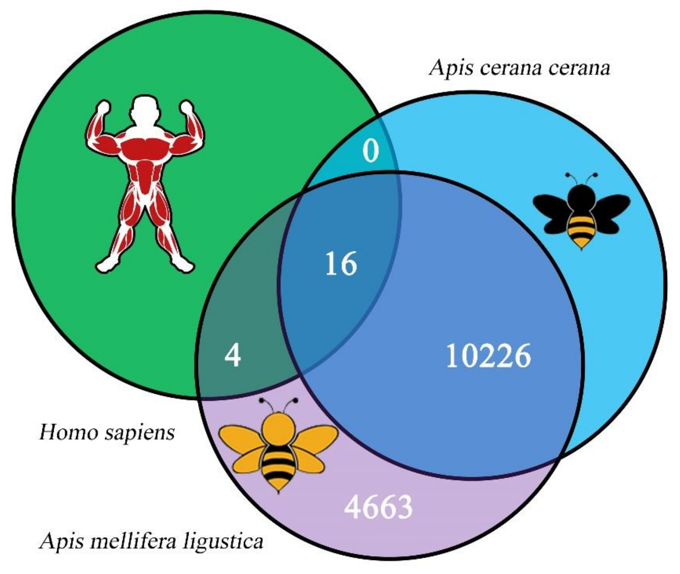 Biology 11 01285 g002 550