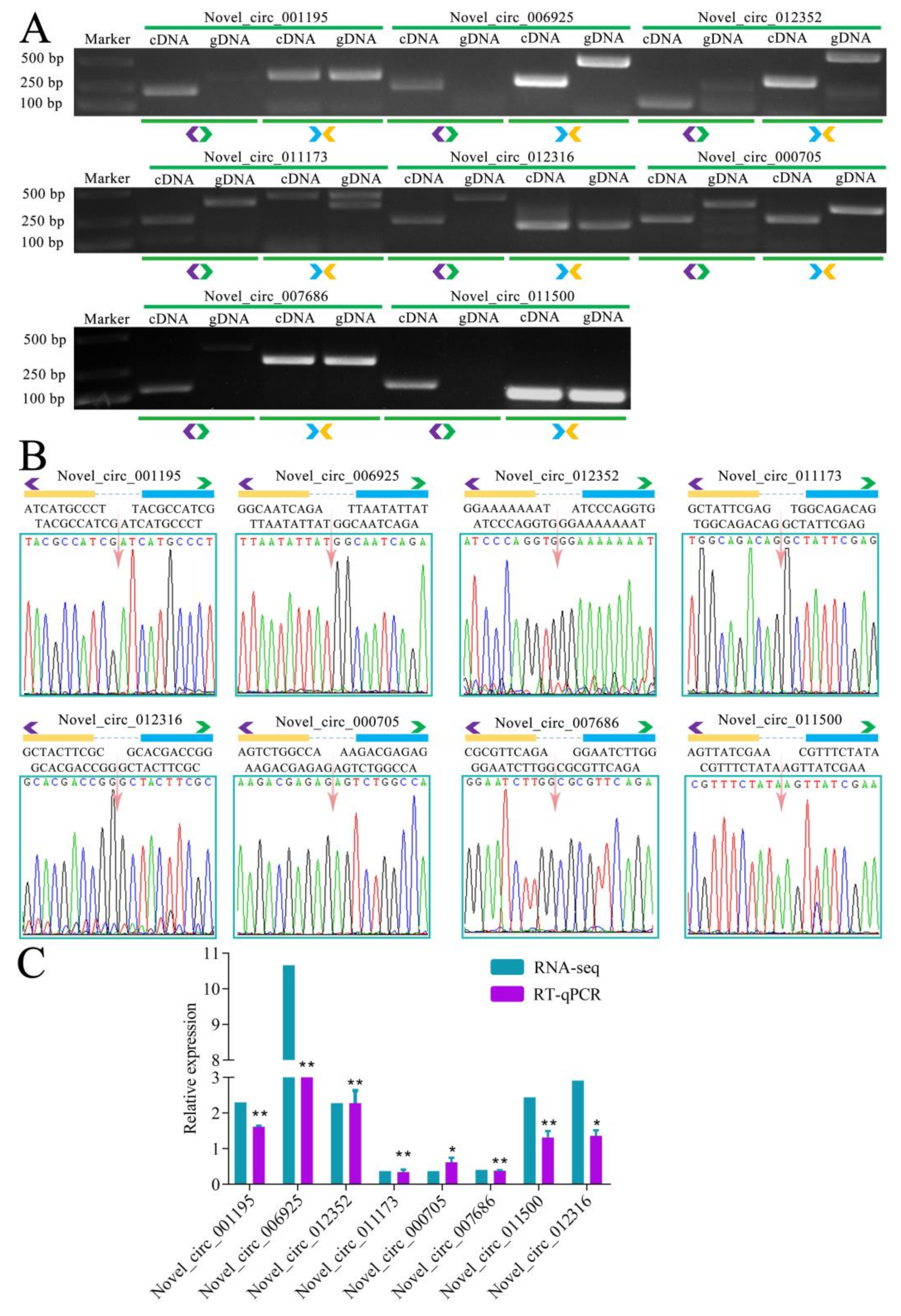Biology 11 01285 g004 550