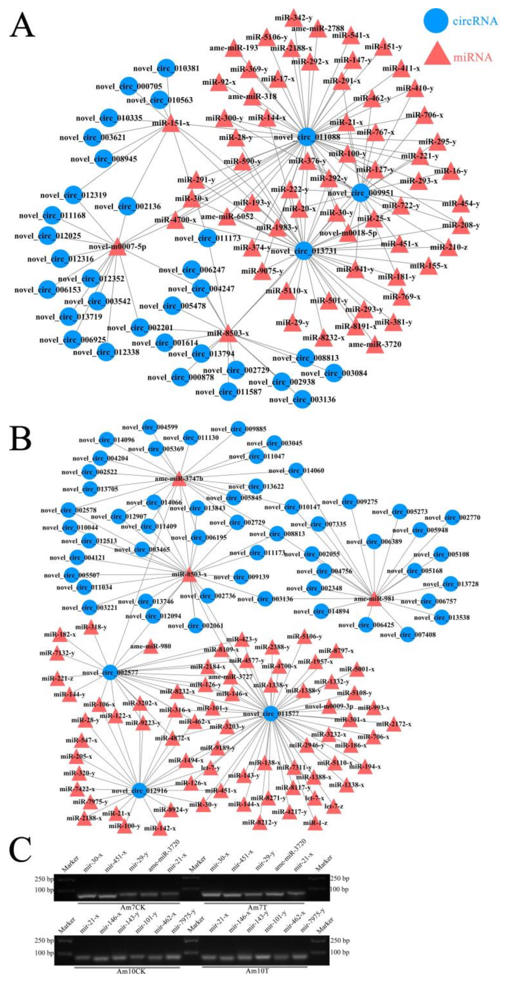 Biology 11 01285 g007 550