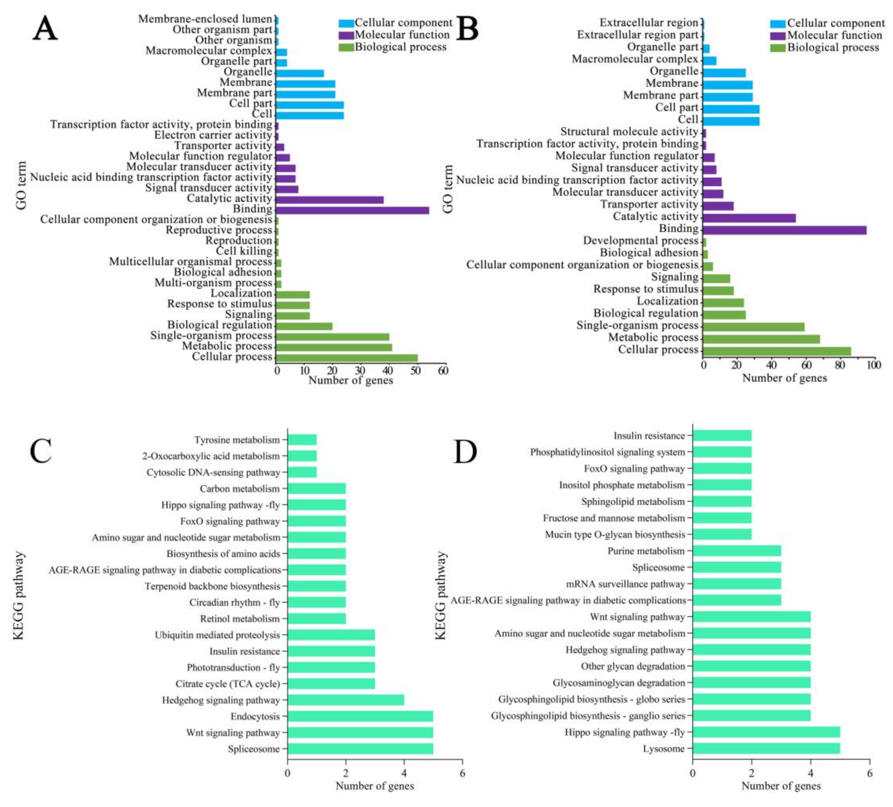 Biology 11 01285 g008 550