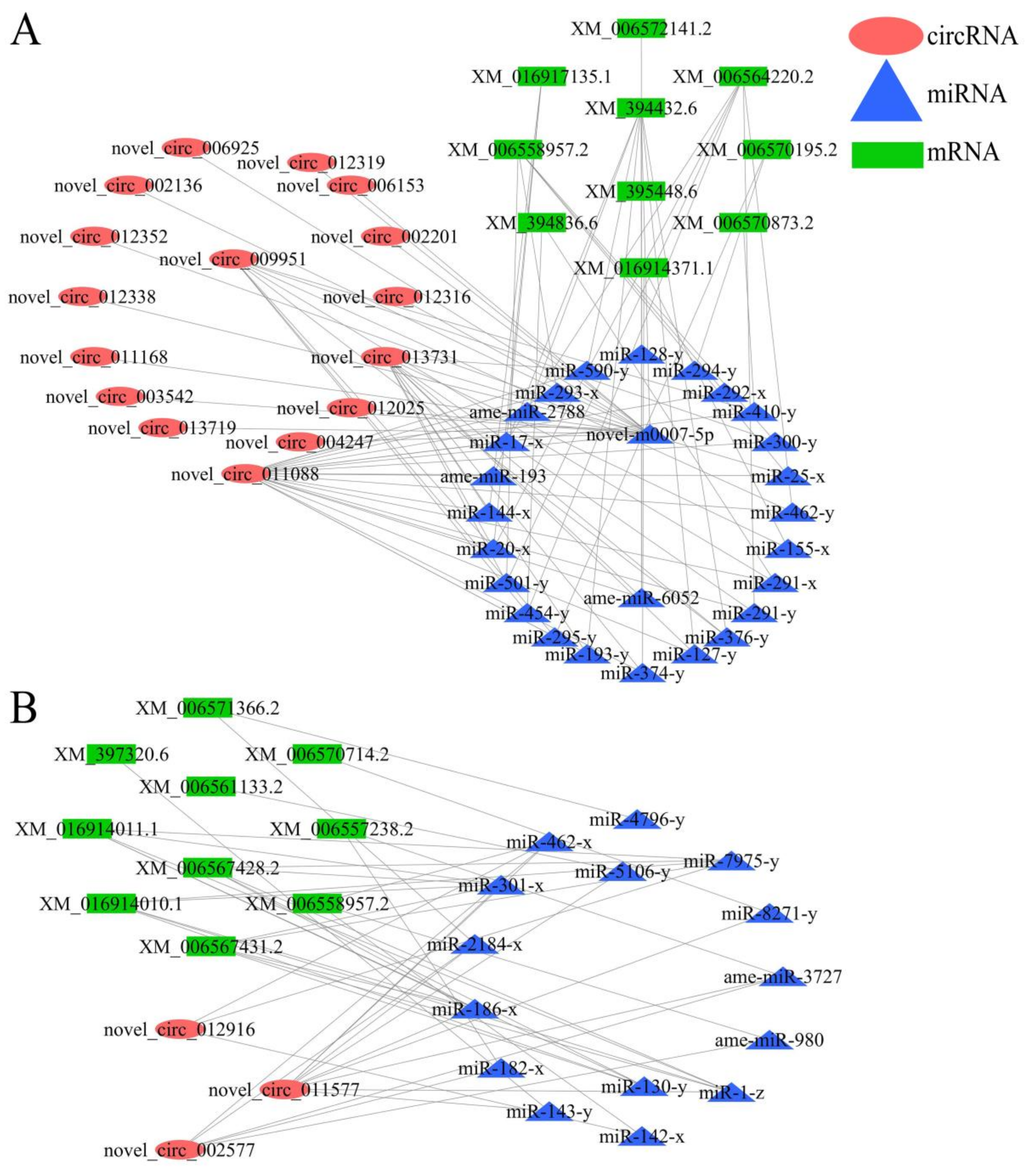 Biology 11 01285 g009 550
